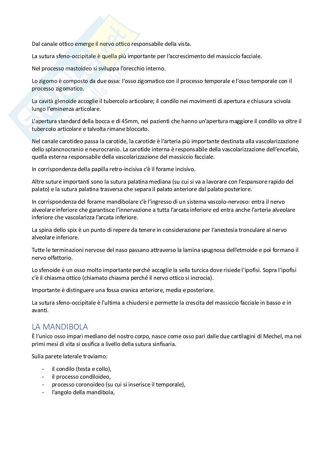 Anatomia dell'apparato stomatognatico  Pag. 6