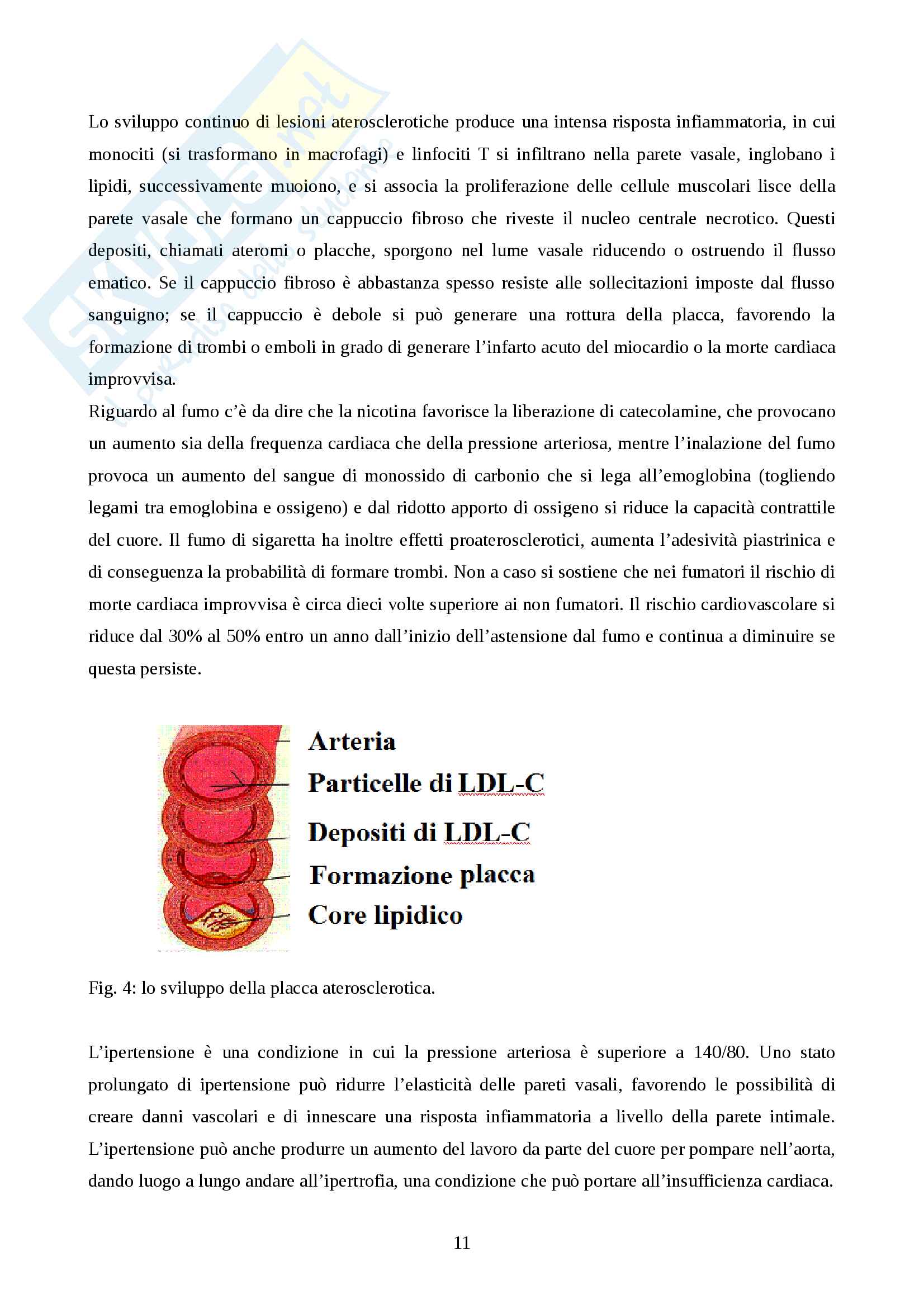 La Riabilitazione del paziente affetto da IMA Pag. 11