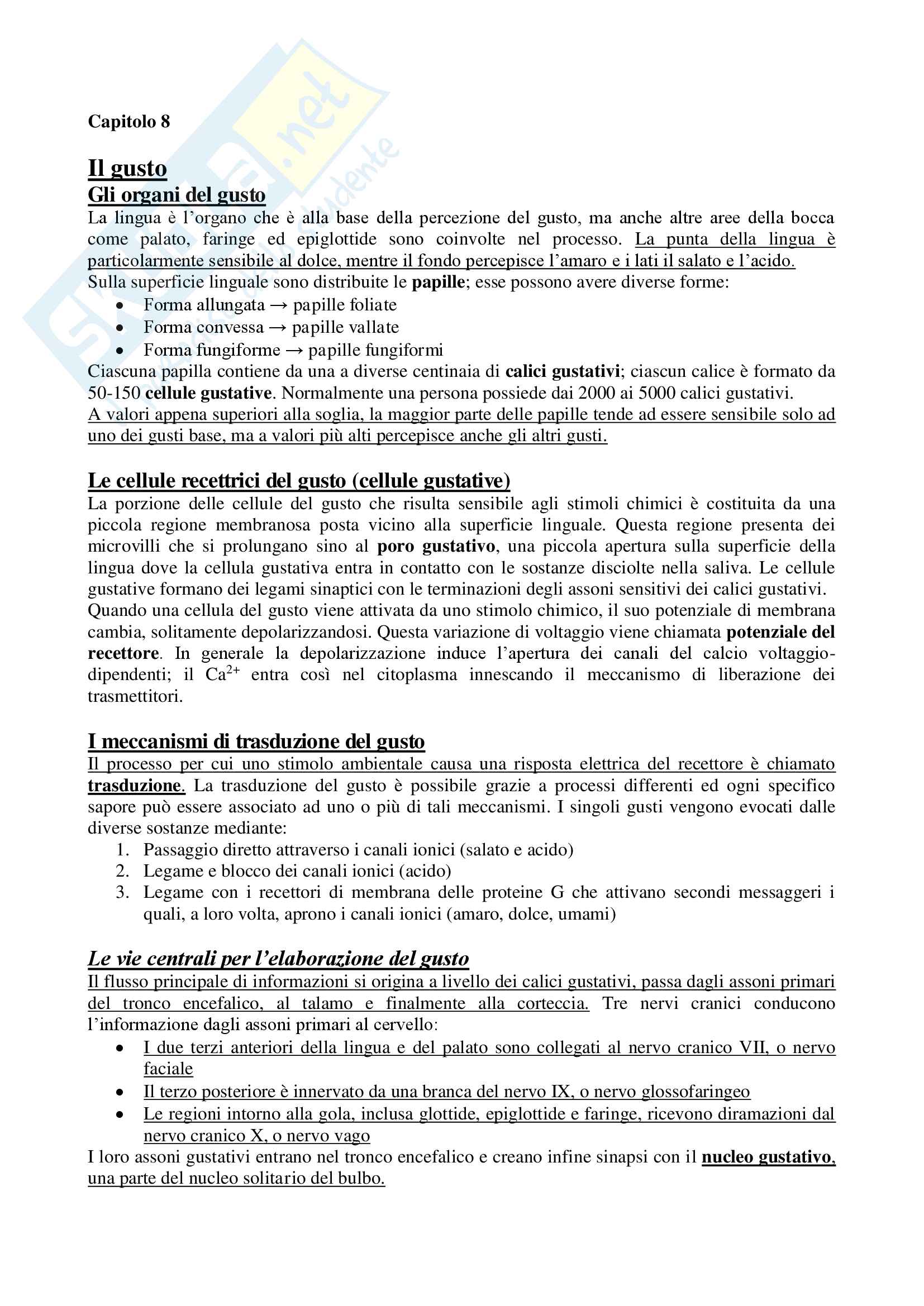 Riassunto esame fondamenti anatomo-fisiologici dell'attività psichica, prof. Maravita. libro consigliato Neuroscienze, Bear Pag. 26