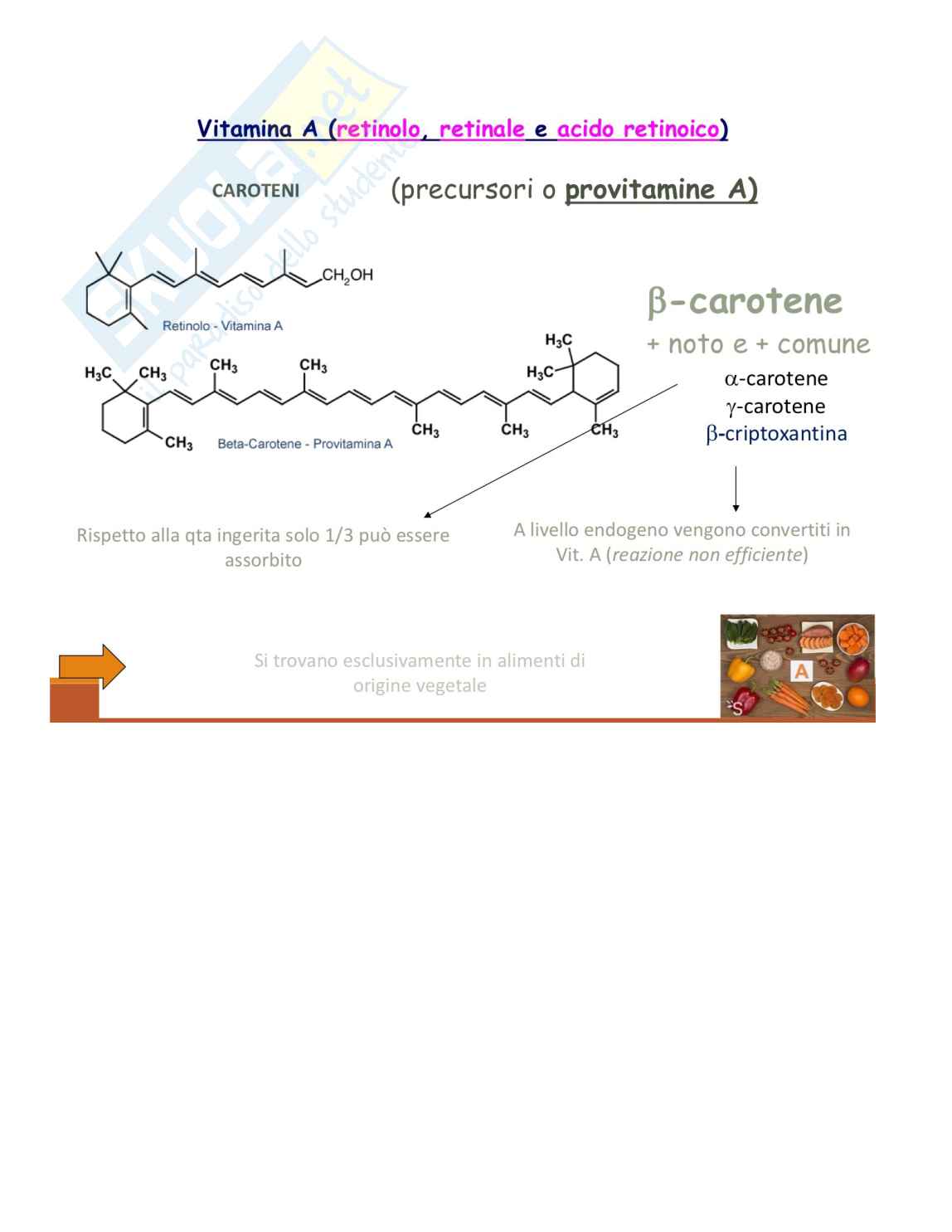 Appunti Fisiologia Pag. 21