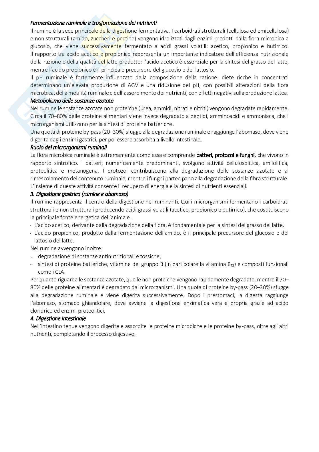 Appunti Alimenti di origine animale e vegetale Pag. 6