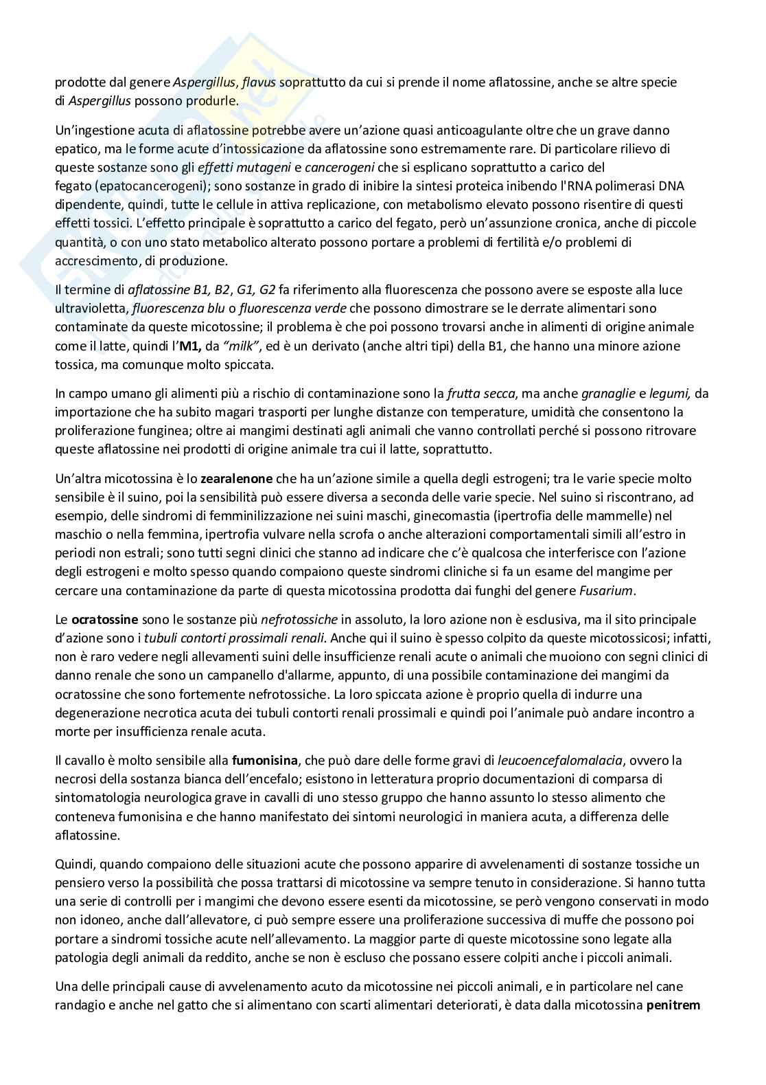 Patologia generale e fisiopatologia veterinaria Pag. 21