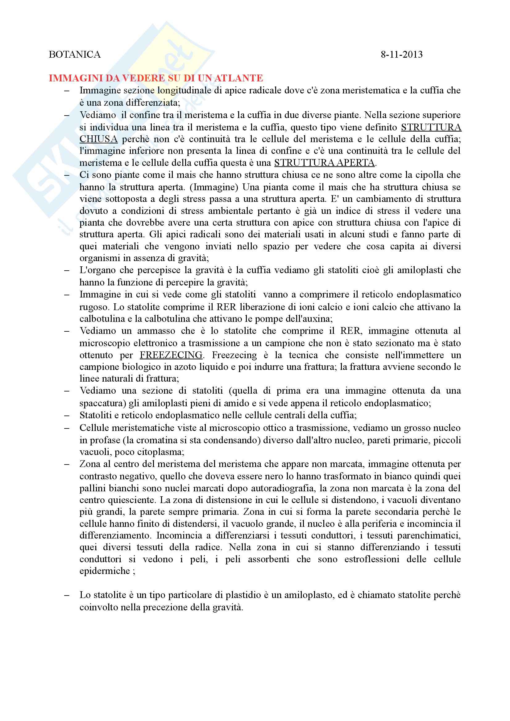 Botanica - vasi-radice Pag. 1