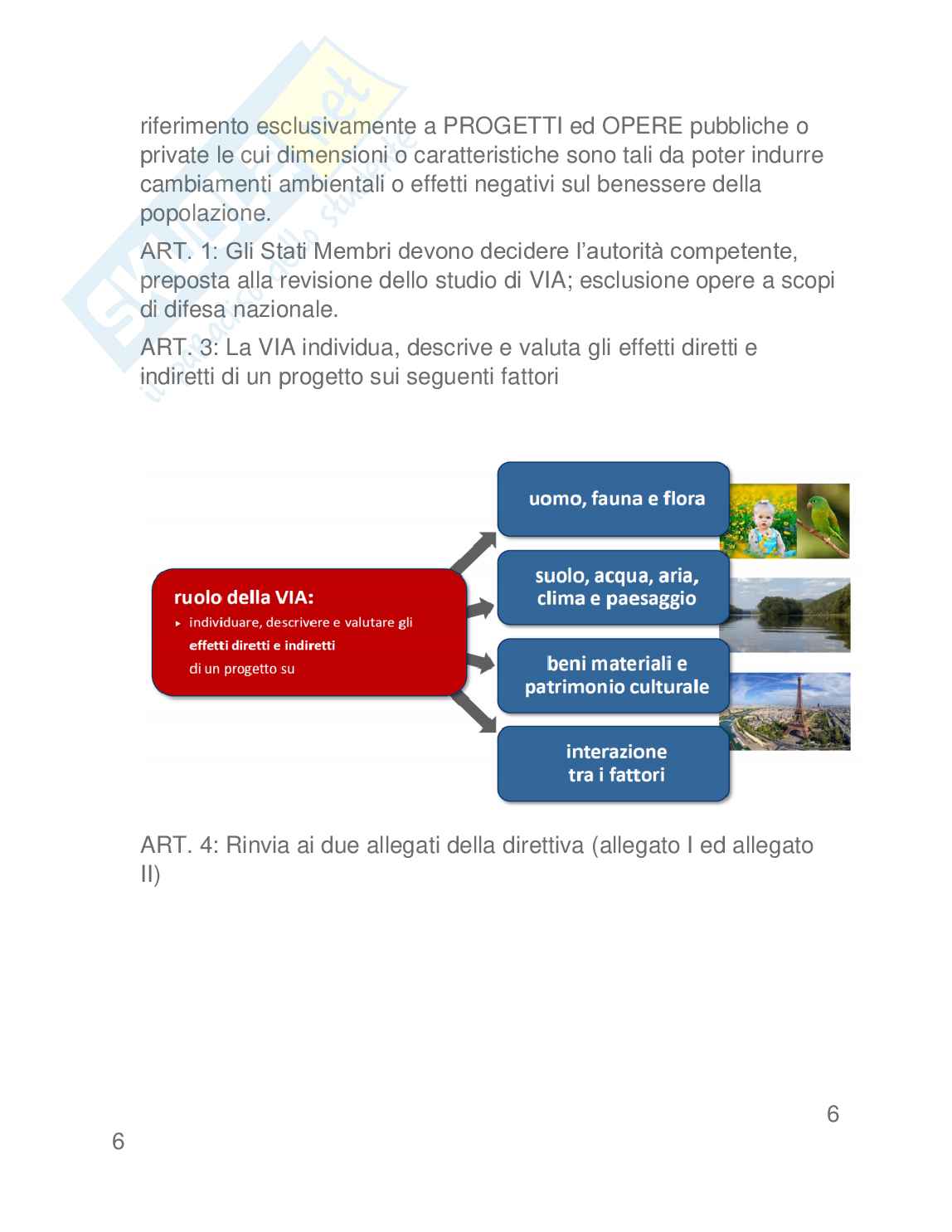 Valutazione di impatto ambientale (VIA) Pag. 6