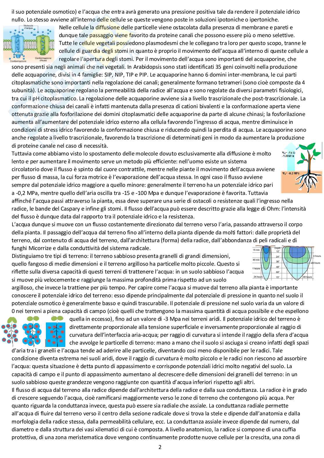 Fisiologia vegetale - Appunti completi delle lezioni Pag. 2