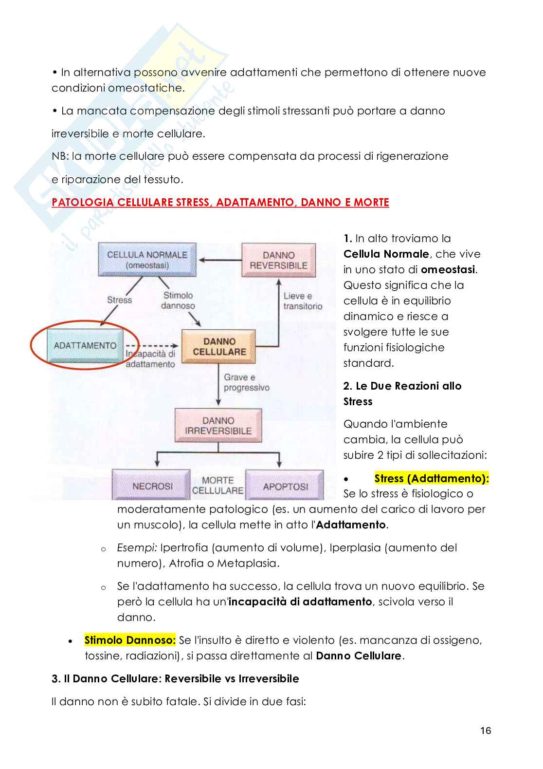 Patologia generale - Appunti Pag. 16