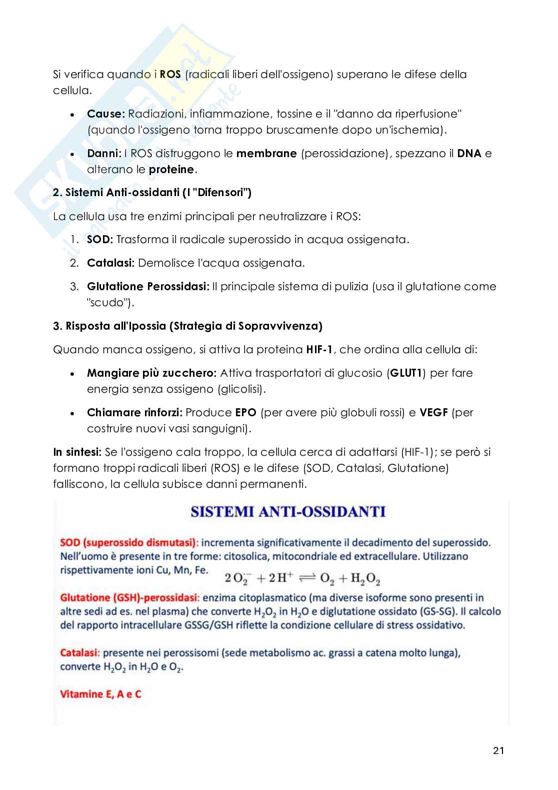 Patologia generale - Appunti Pag. 21
