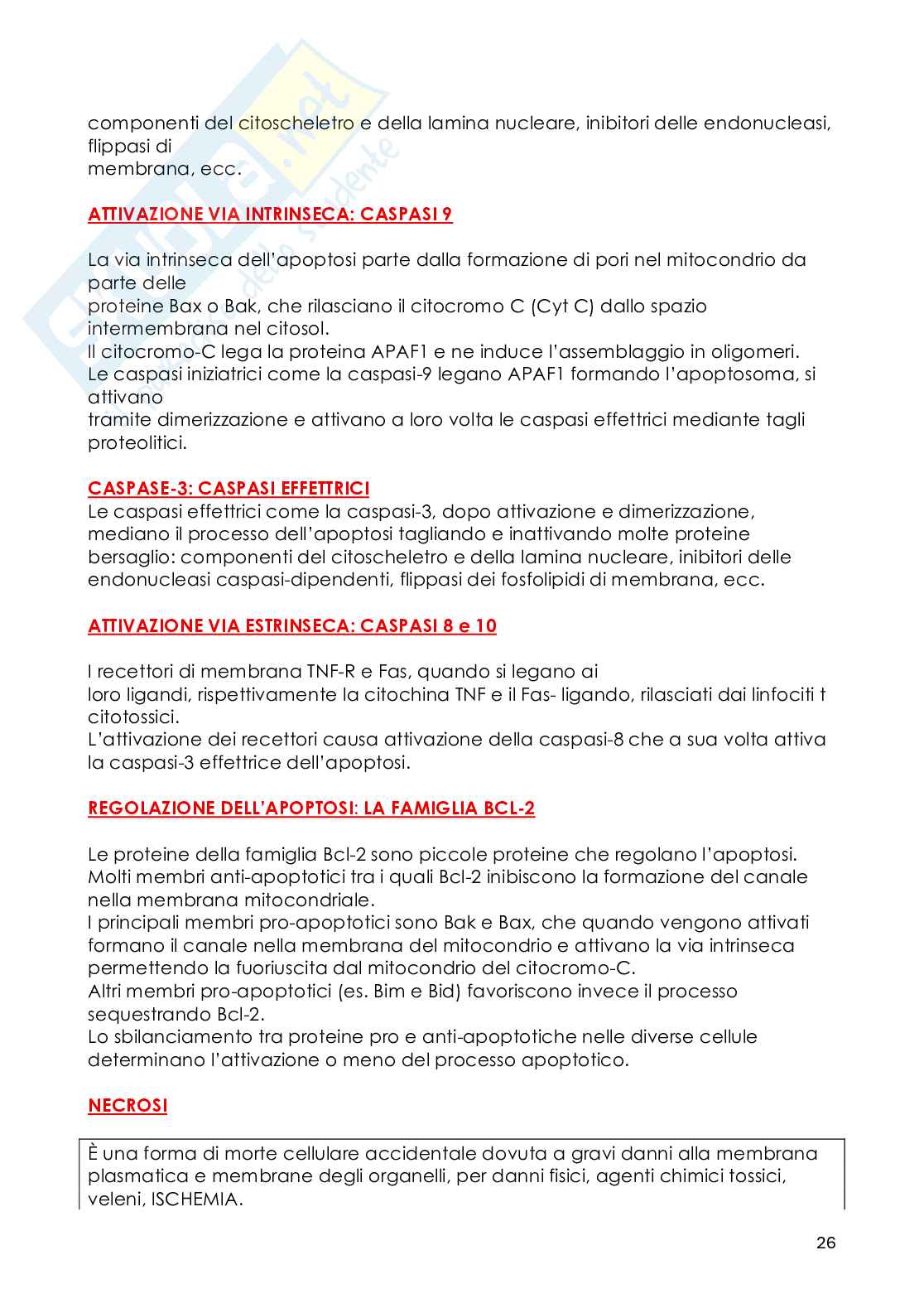 Patologia generale - Appunti Pag. 26