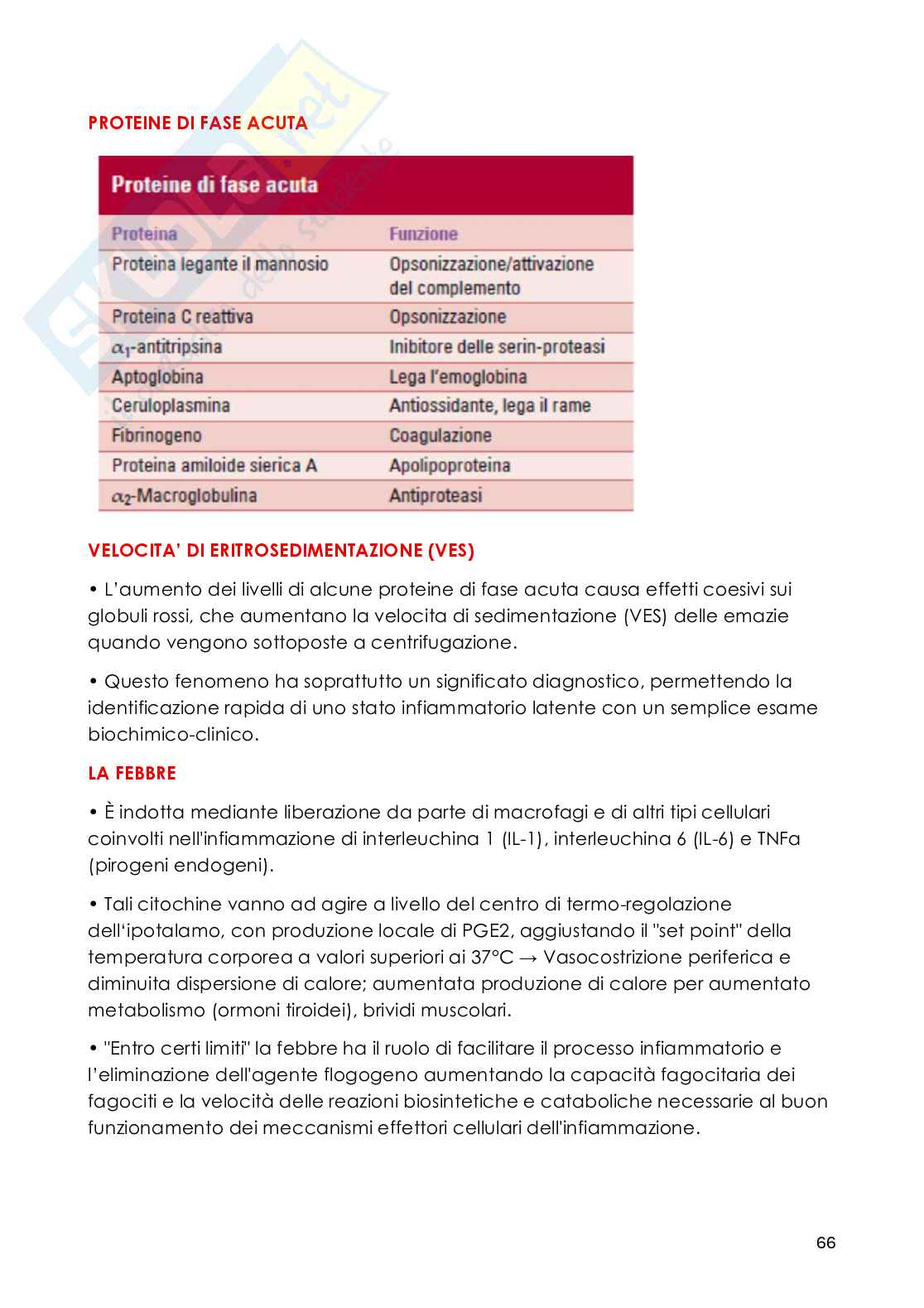 Patologia generale - Appunti Pag. 66