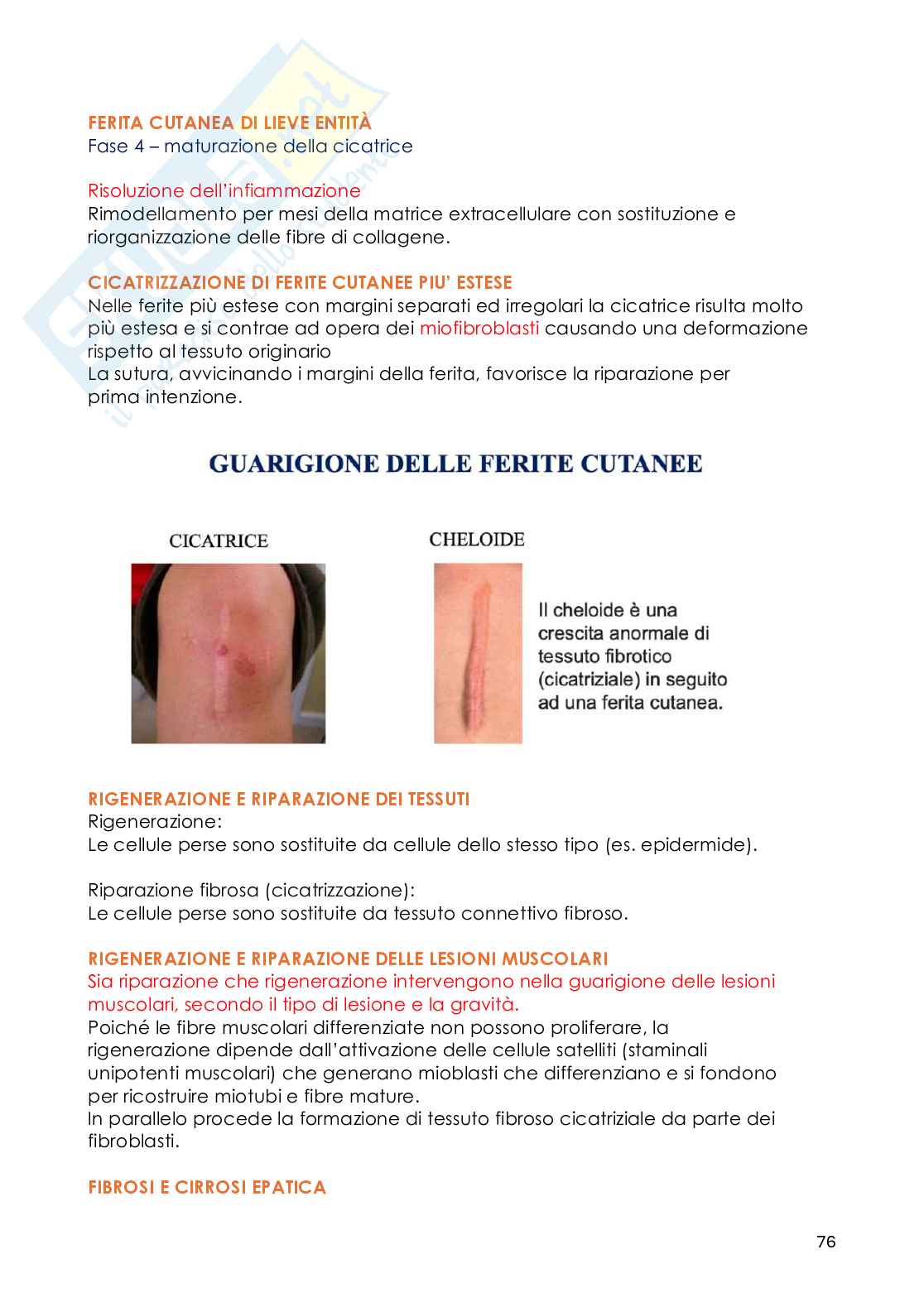 Patologia generale - Appunti Pag. 76