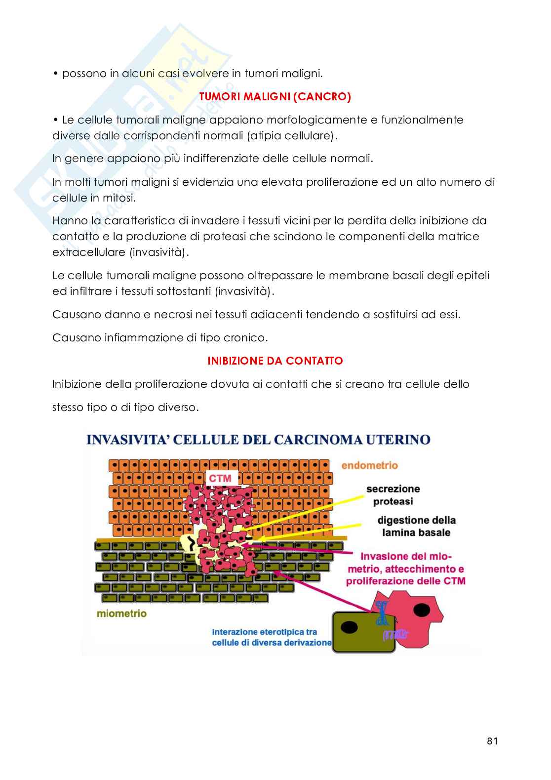 Patologia generale - Appunti Pag. 81