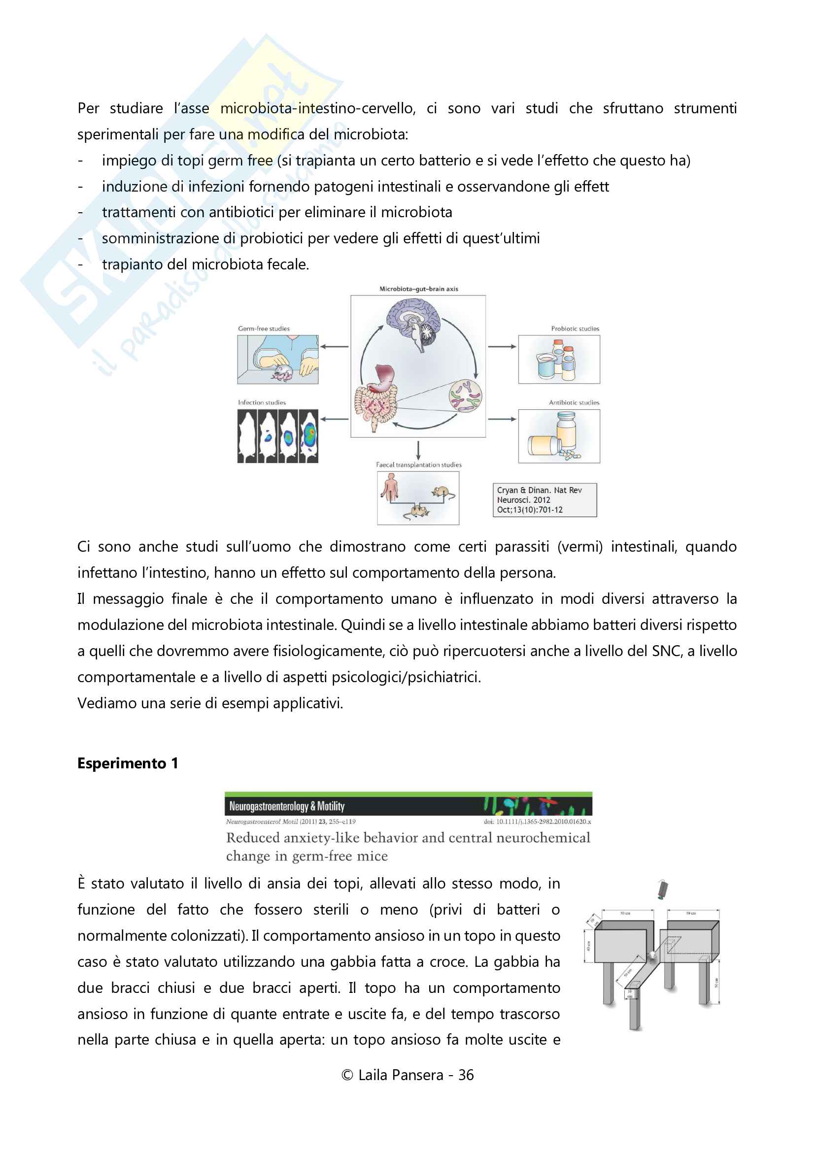 Ecologia del microbiota umano, parte 3, prof. Simone Guglielmetti Pag. 36