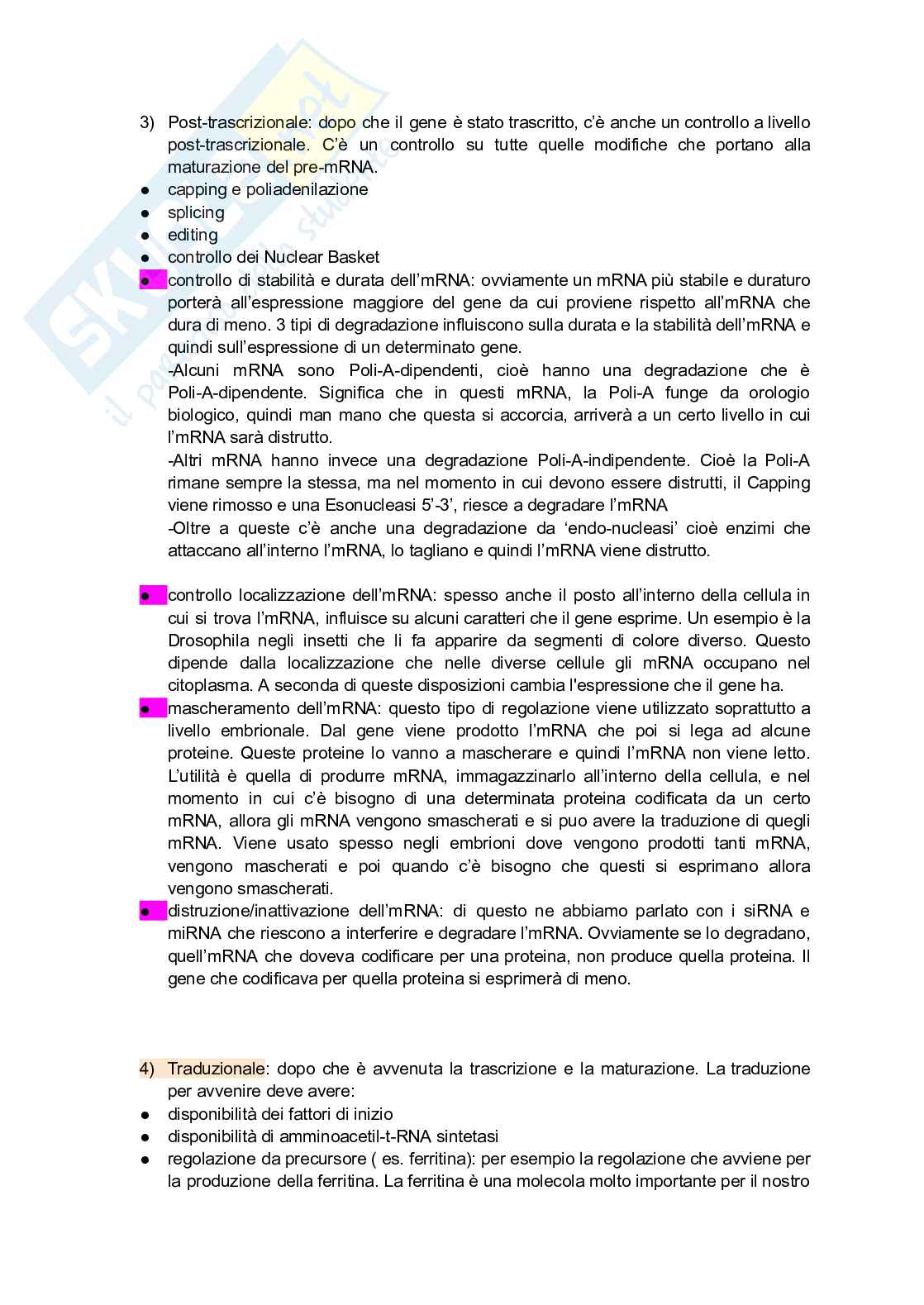 Regolazione genica Pag. 6