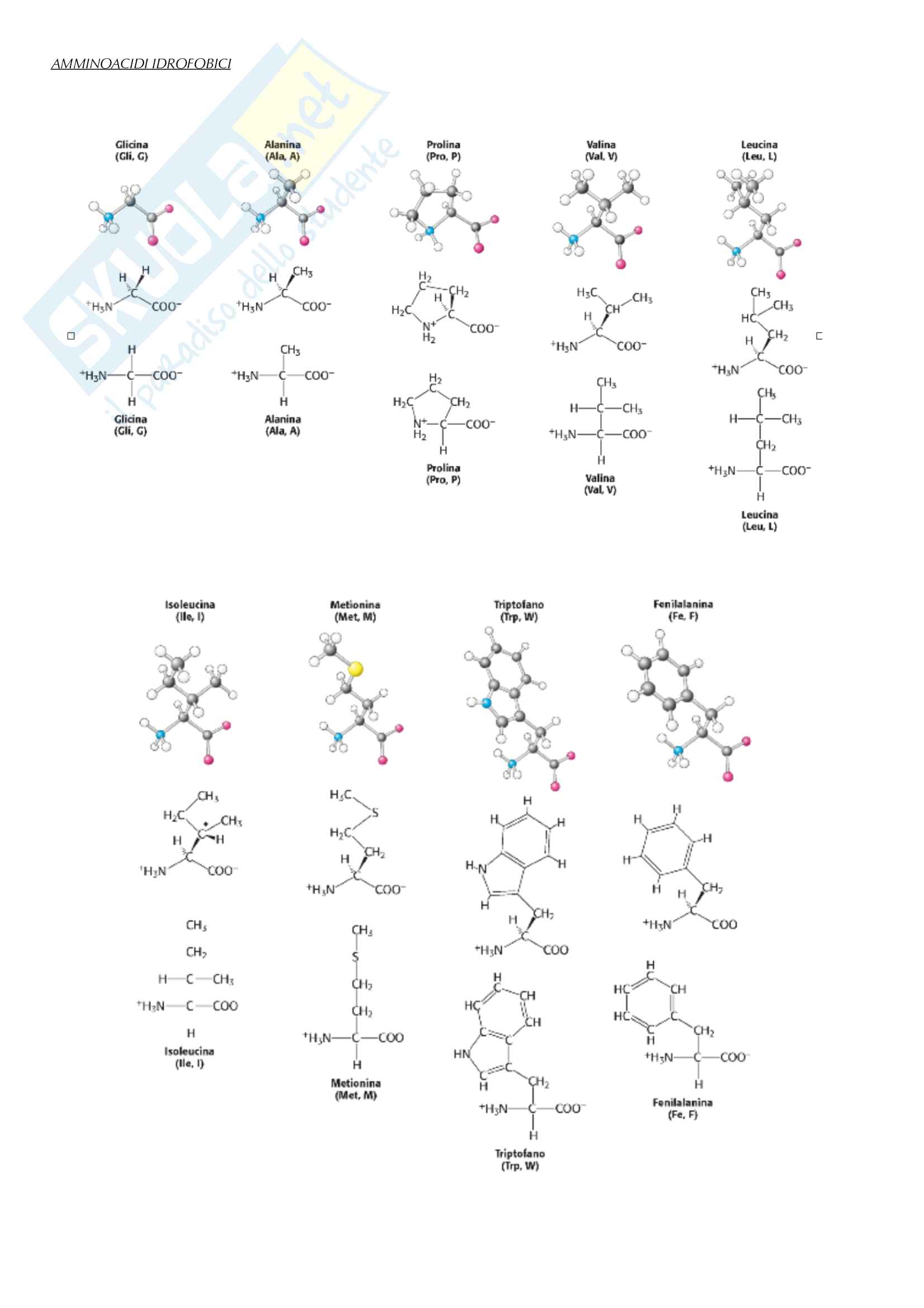 Biochimica Pag. 6