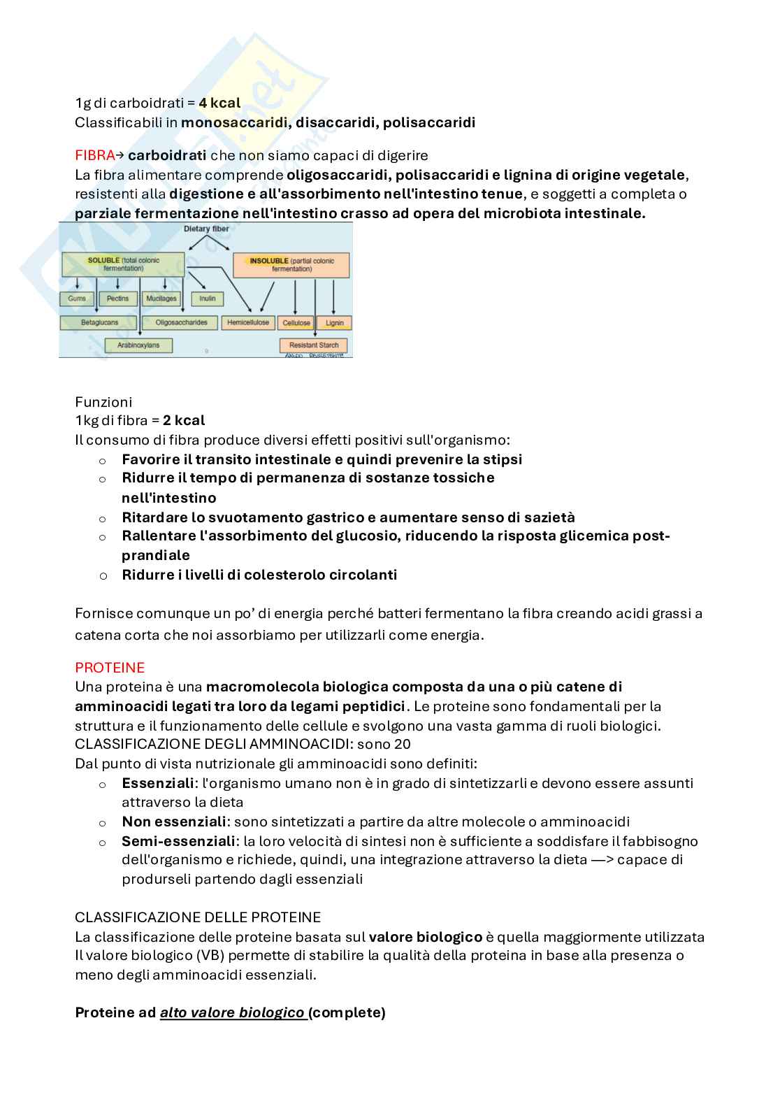 Appunti della lezione di Valutazione nutrizionale degli alimenti  Pag. 2