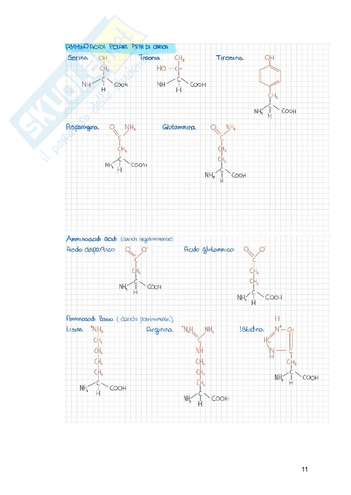 Riassunto esame Biologia, Prof. Siculella Luisa, libro consigliato Biologia e genetica , Edises Pag. 11