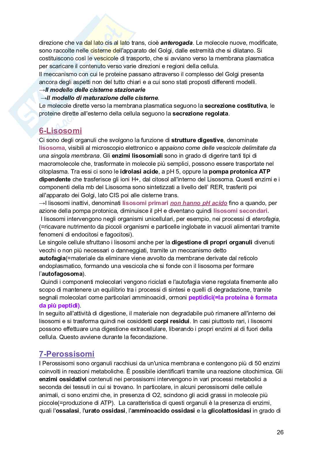 Riassunto esame Biologia, Prof. Siculella Luisa, libro consigliato Biologia e genetica , Edises Pag. 26