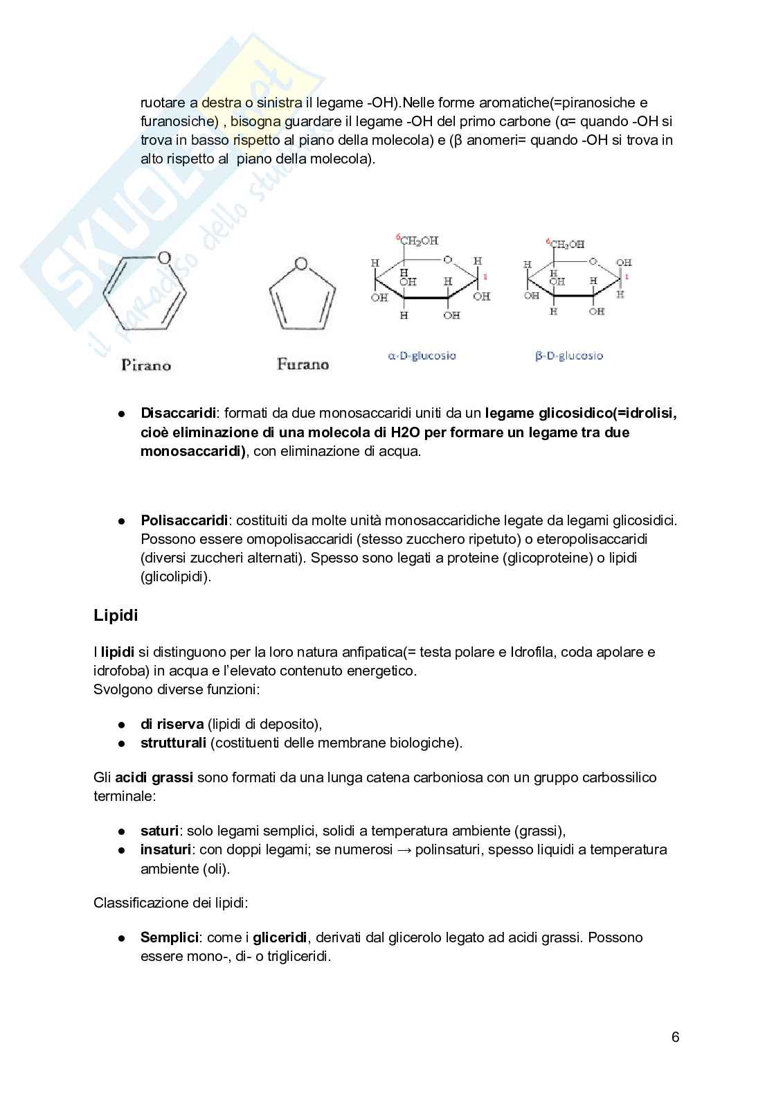 Riassunto esame Biologia, Prof. Siculella Luisa, libro consigliato Biologia e genetica , Edises Pag. 6