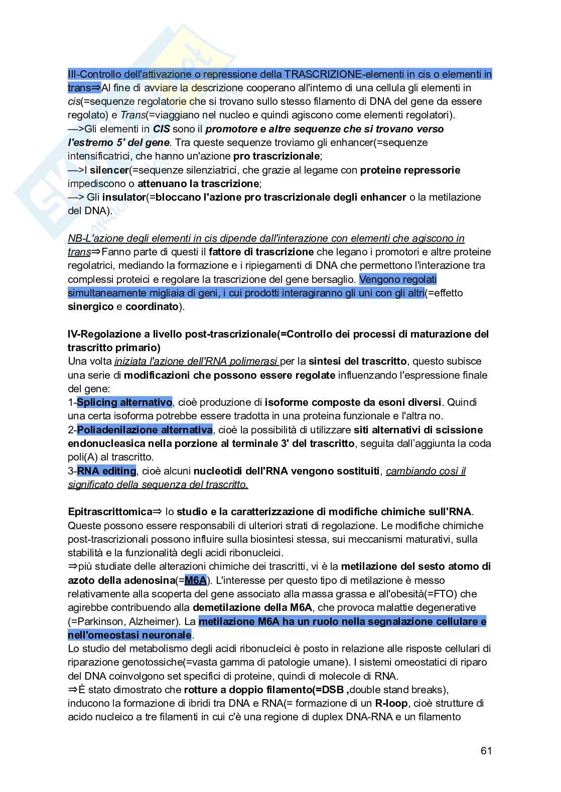 Riassunto esame Biologia, Prof. Siculella Luisa, libro consigliato Biologia e genetica , Edises Pag. 61