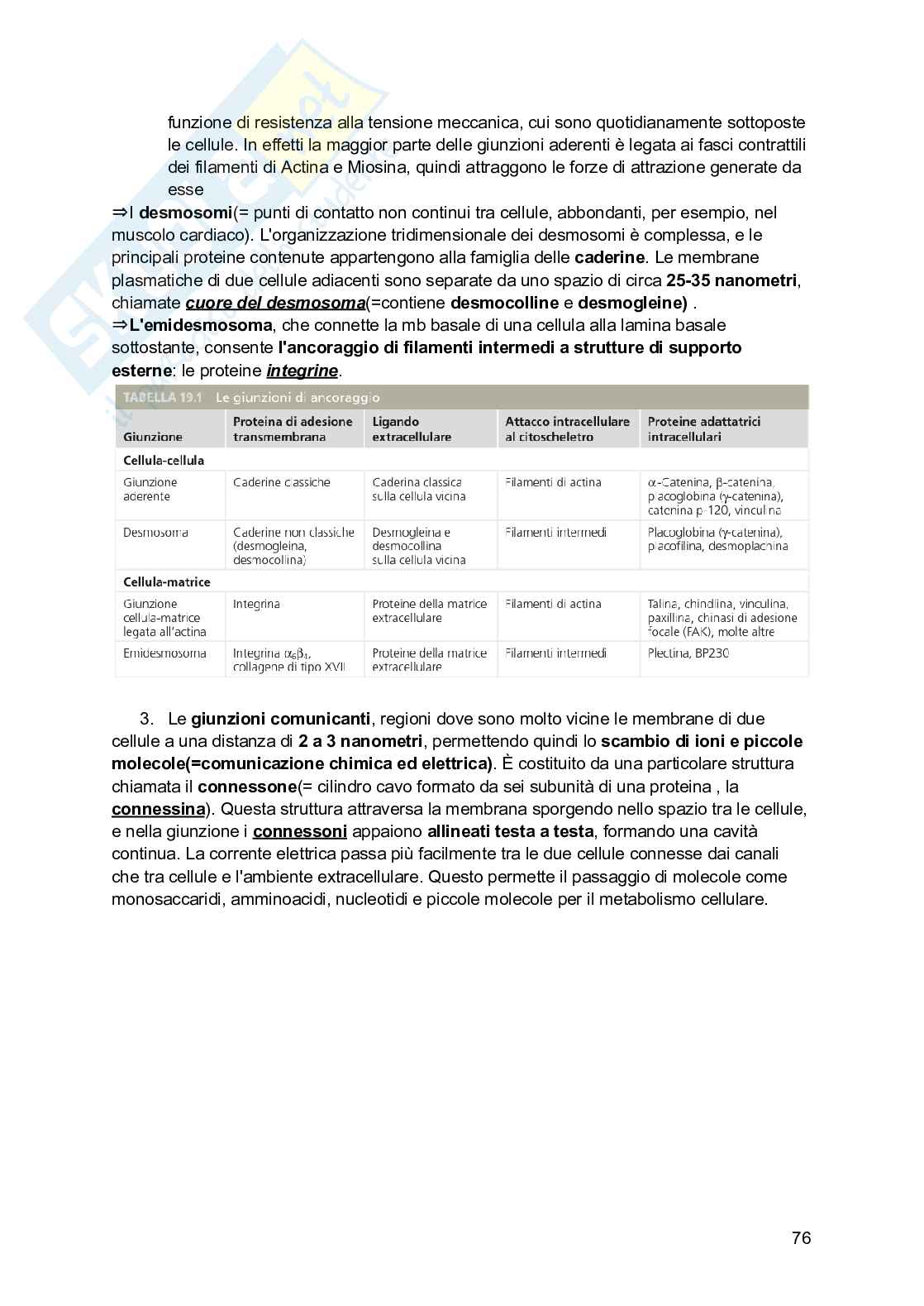 Riassunto esame Biologia, Prof. Siculella Luisa, libro consigliato Biologia e genetica , Edises Pag. 76