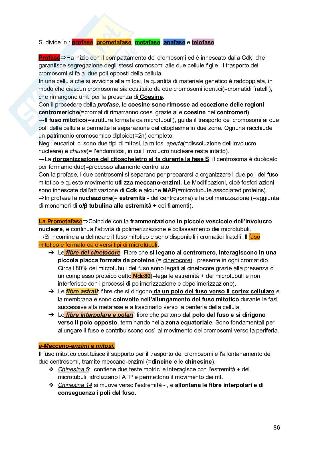 Riassunto esame Biologia, Prof. Siculella Luisa, libro consigliato Biologia e genetica , Edises Pag. 86