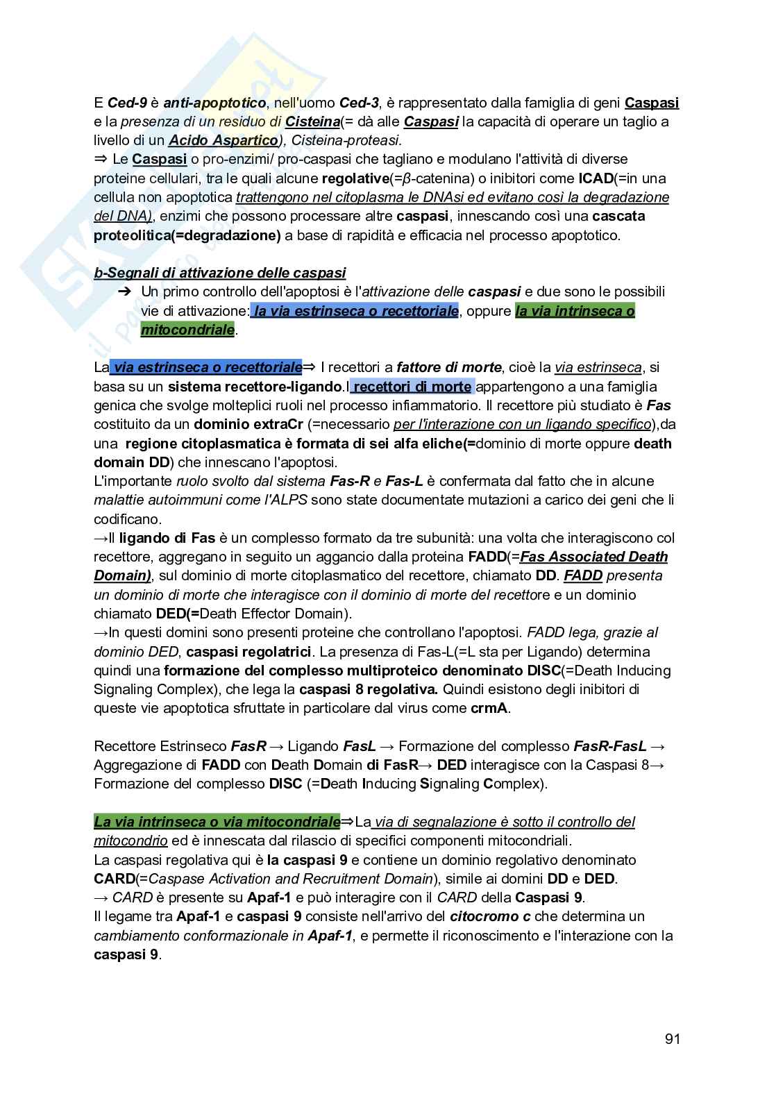 Riassunto esame Biologia, Prof. Siculella Luisa, libro consigliato Biologia e genetica , Edises Pag. 91