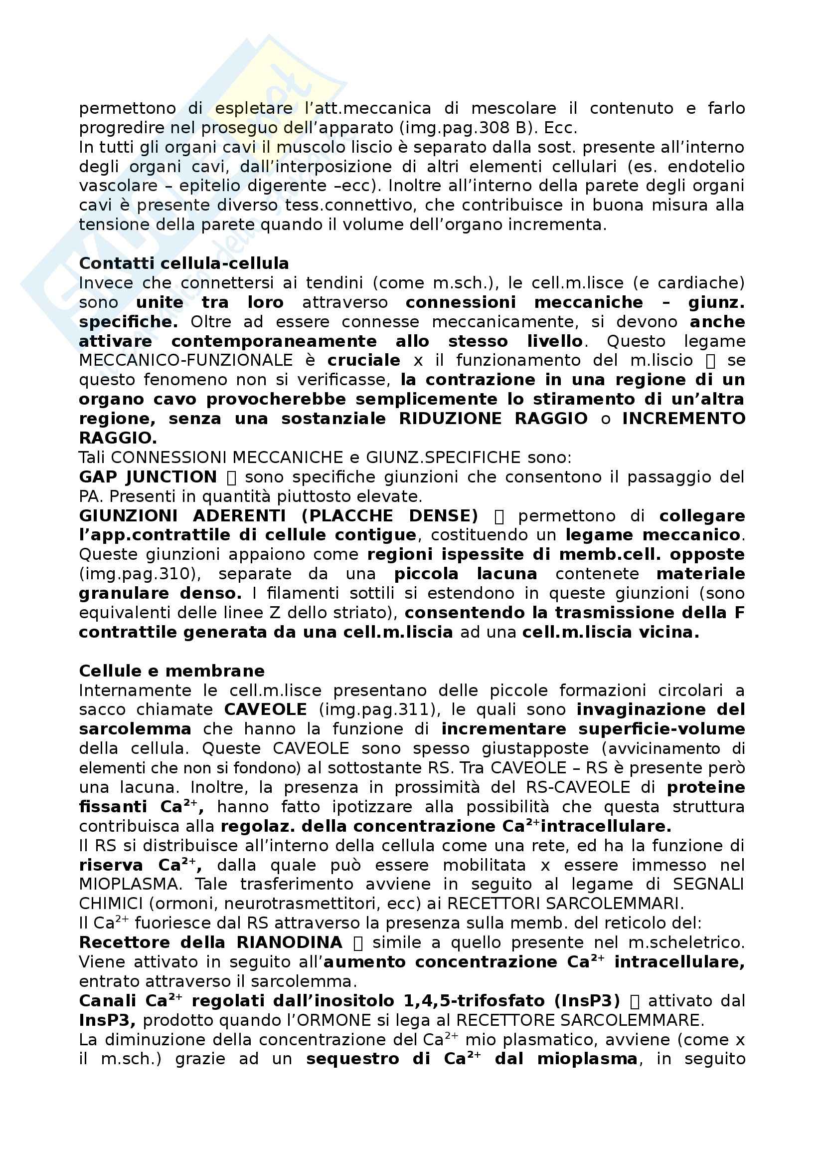 Riassunto esame Fisiologia Umana, prof. Cuppini, libro consigliato Fisiologia di Berne e Levy Pag. 31