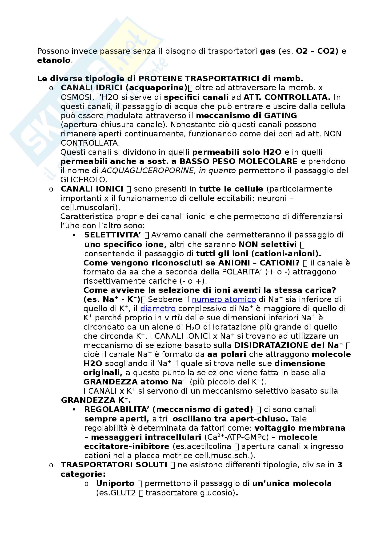 Riassunto esame Fisiologia Umana, prof. Cuppini, libro consigliato Fisiologia di Berne e Levy Pag. 6