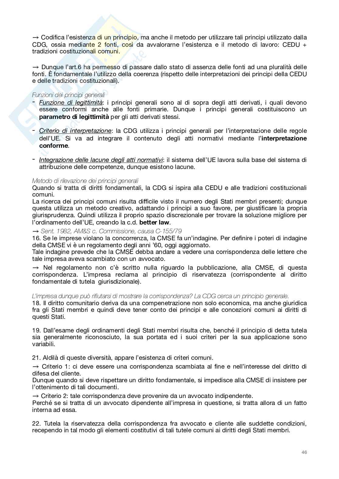 Diritto dell'Unione Europea Pag. 46