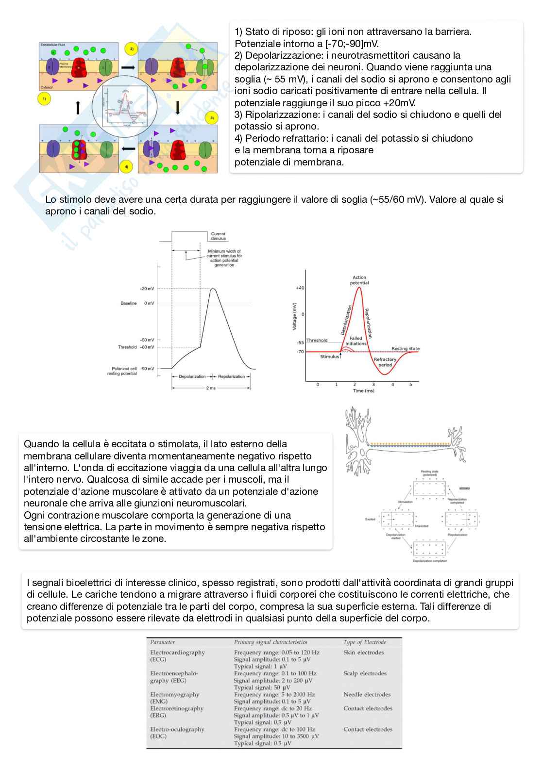 Appunti Sensoristica per strumentazione biomedicale Pag. 41