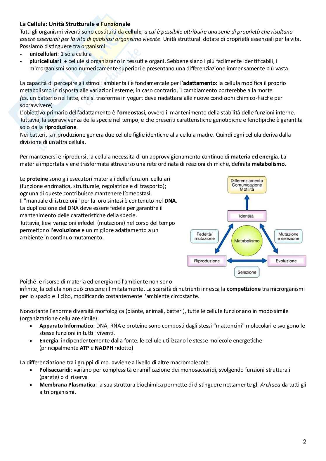 Microbiologia Pag. 2