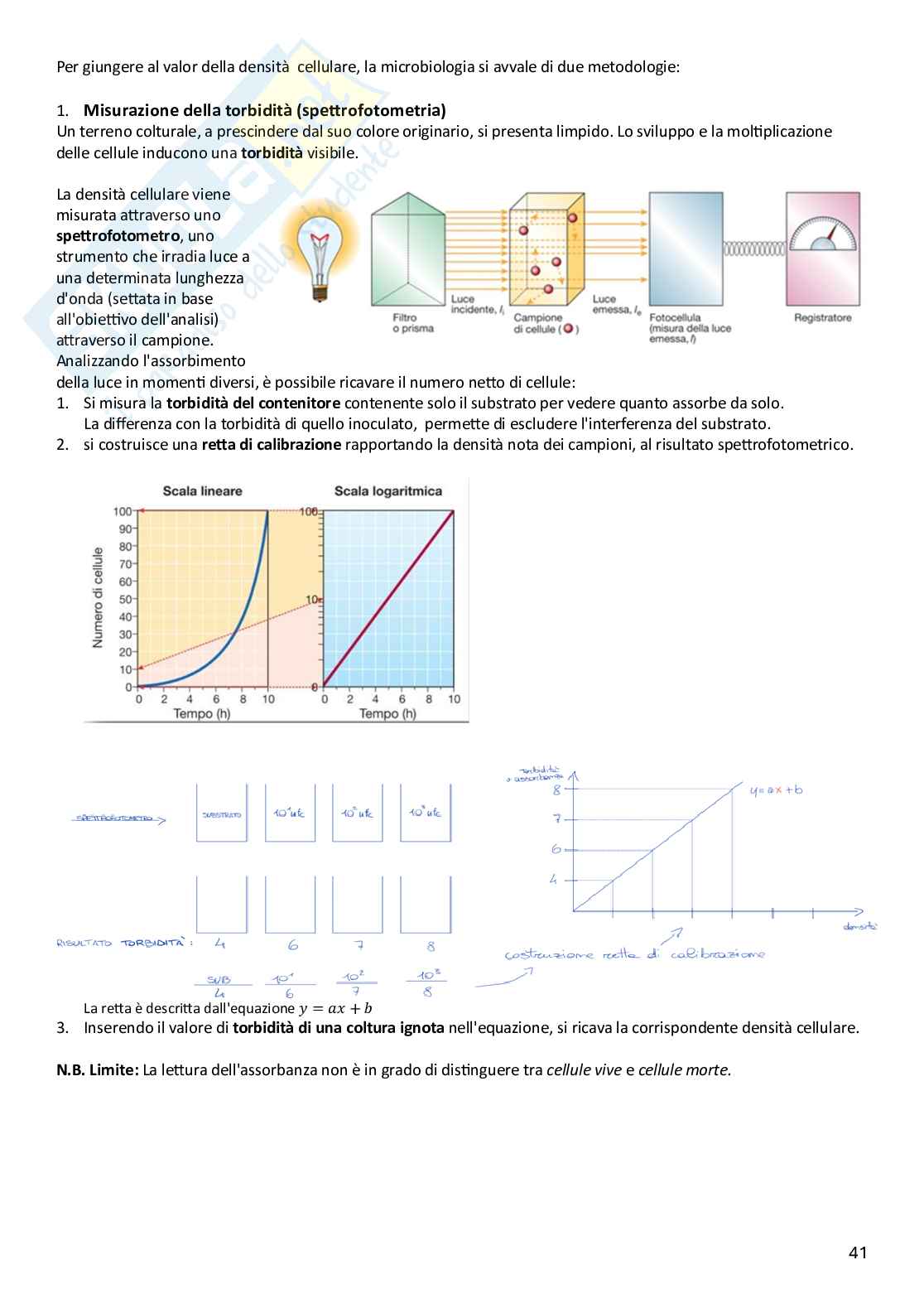 Microbiologia Pag. 41