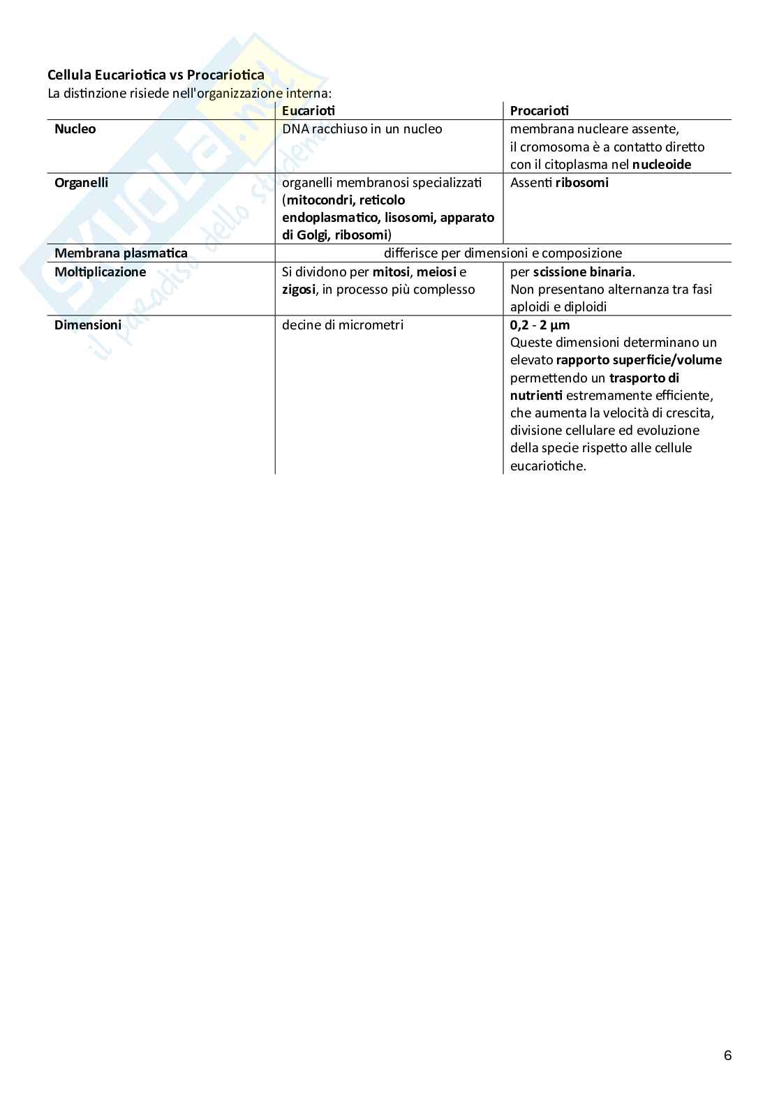Microbiologia Pag. 6