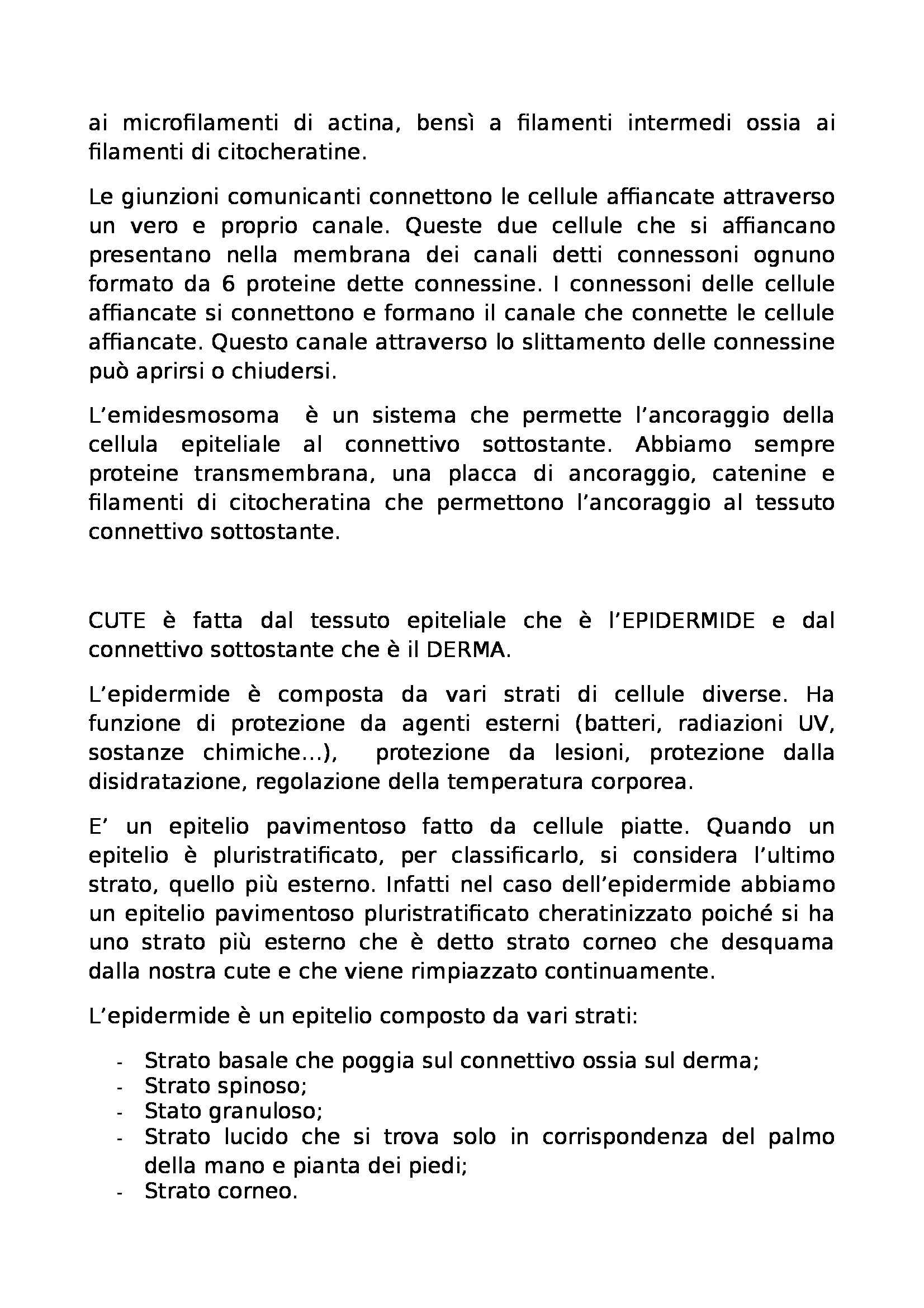 Istologia - epiteli e ghiandole esocrine Pag. 6