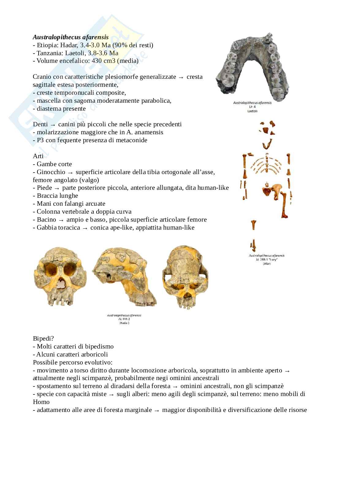 Appunti di Antropologia Pag. 31