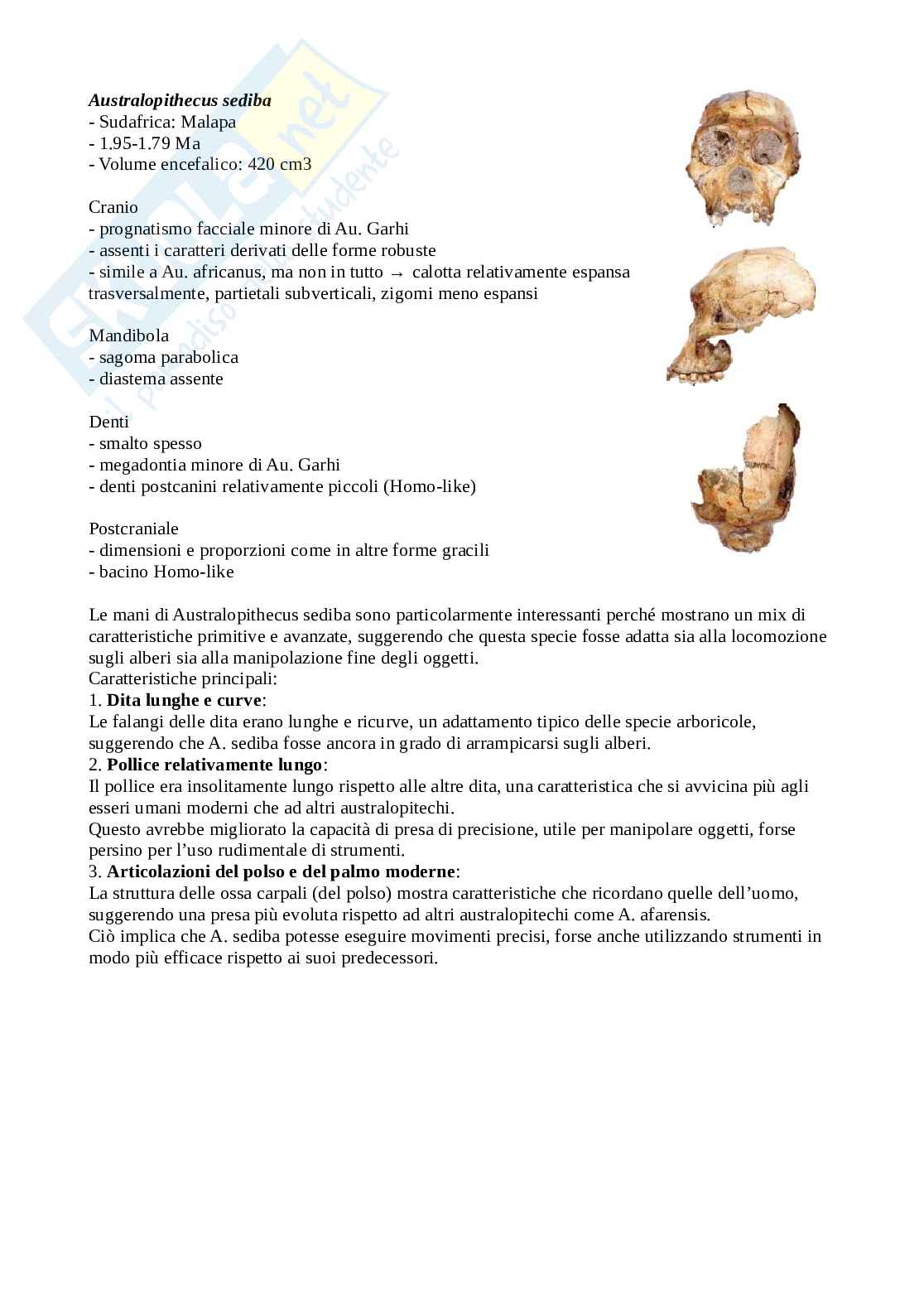 Appunti di Antropologia Pag. 36