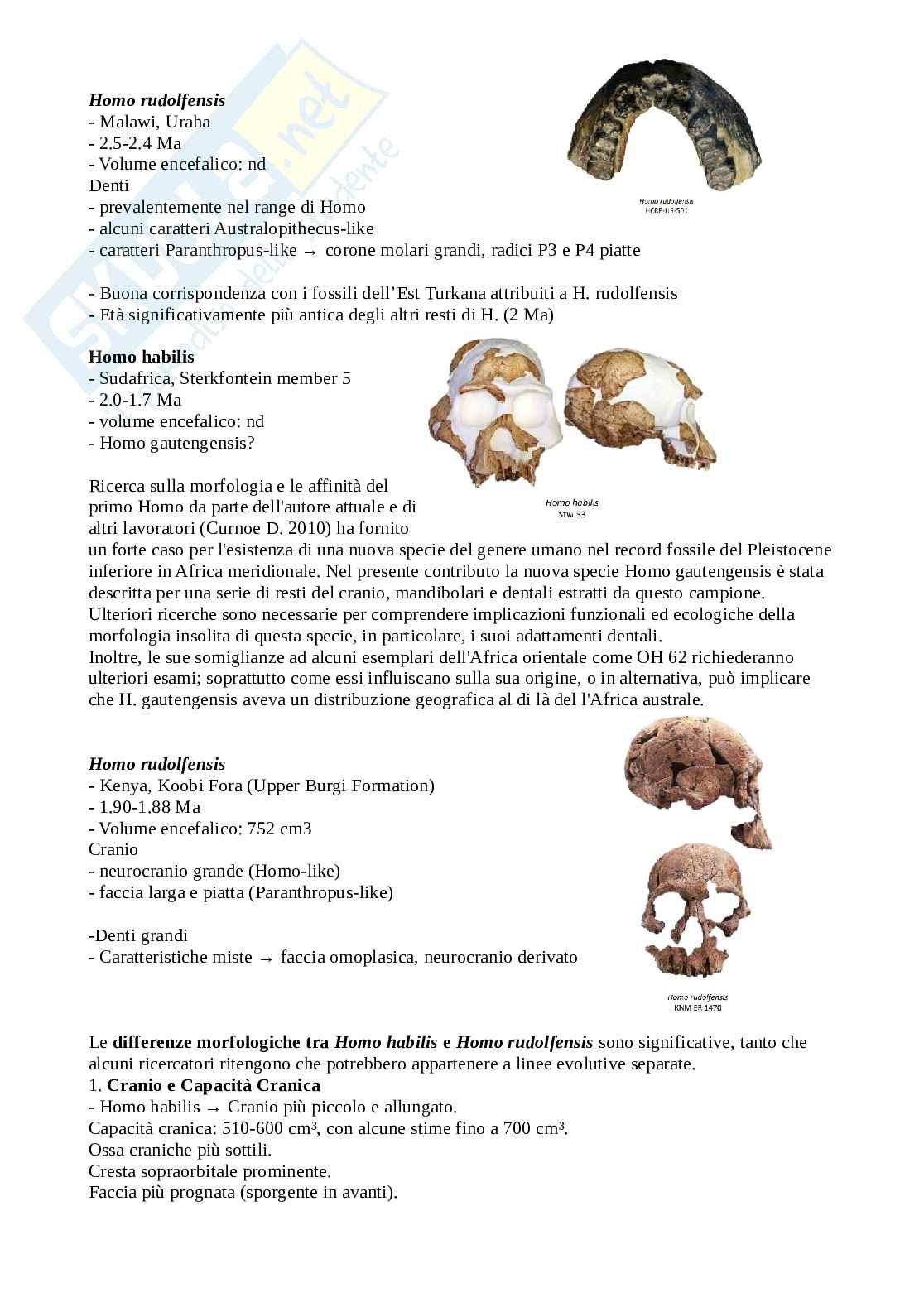 Appunti di Antropologia Pag. 41