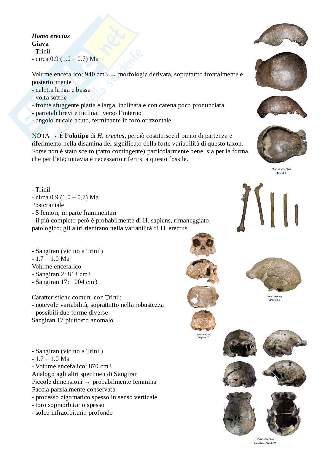 Appunti di Antropologia Pag. 46