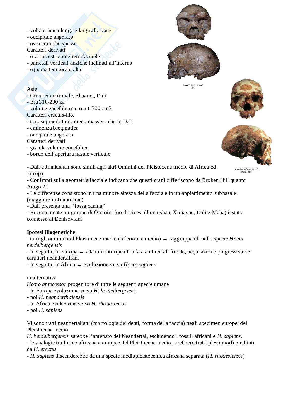 Appunti di Antropologia Pag. 61