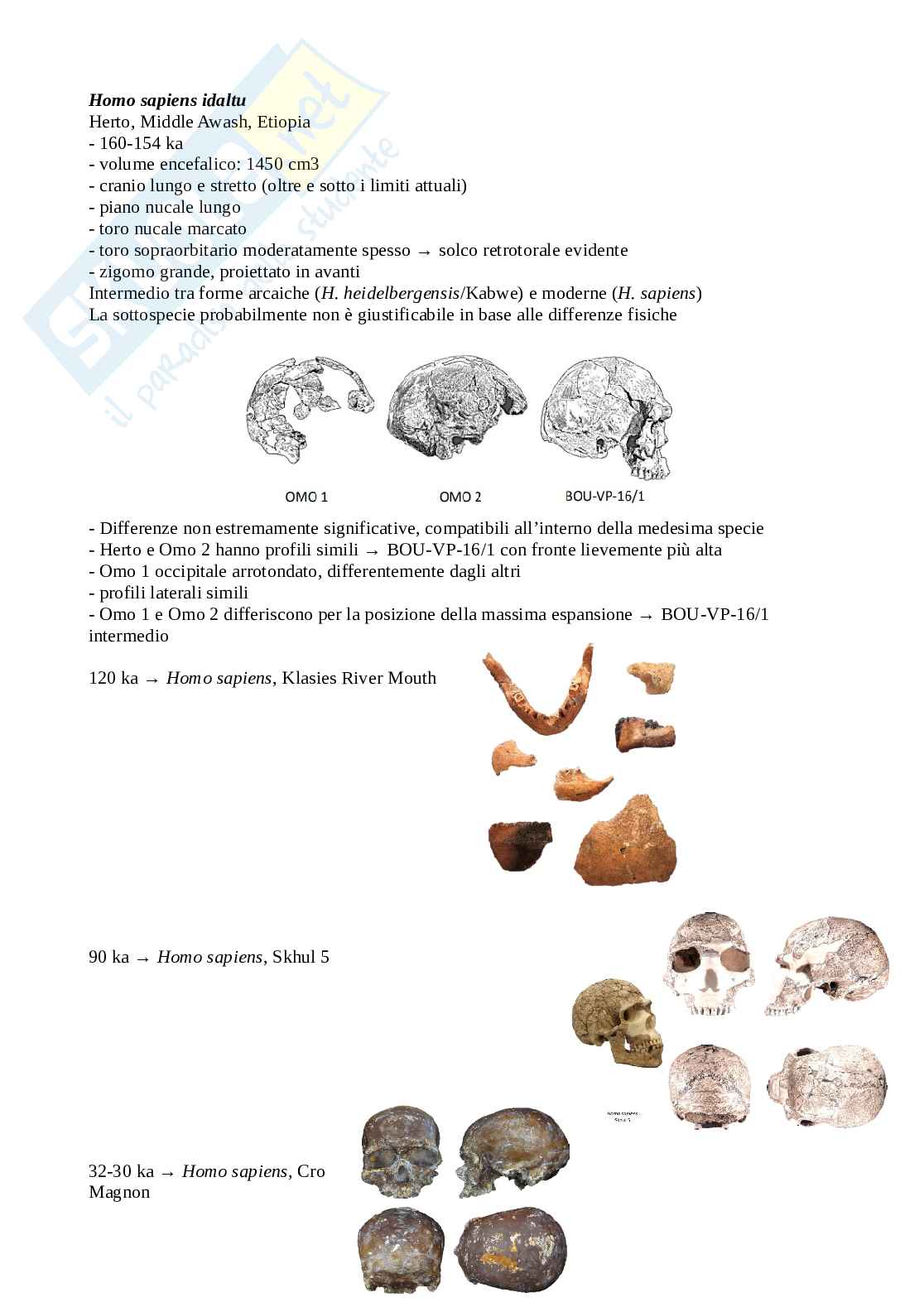 Appunti di Antropologia Pag. 71