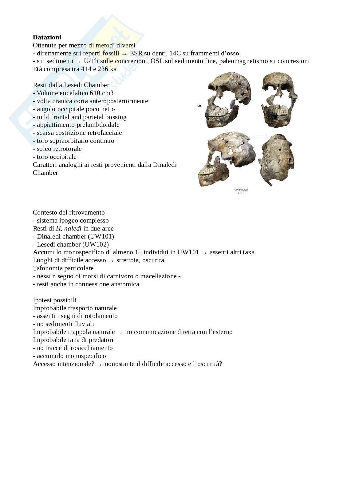 Appunti di Antropologia Pag. 76