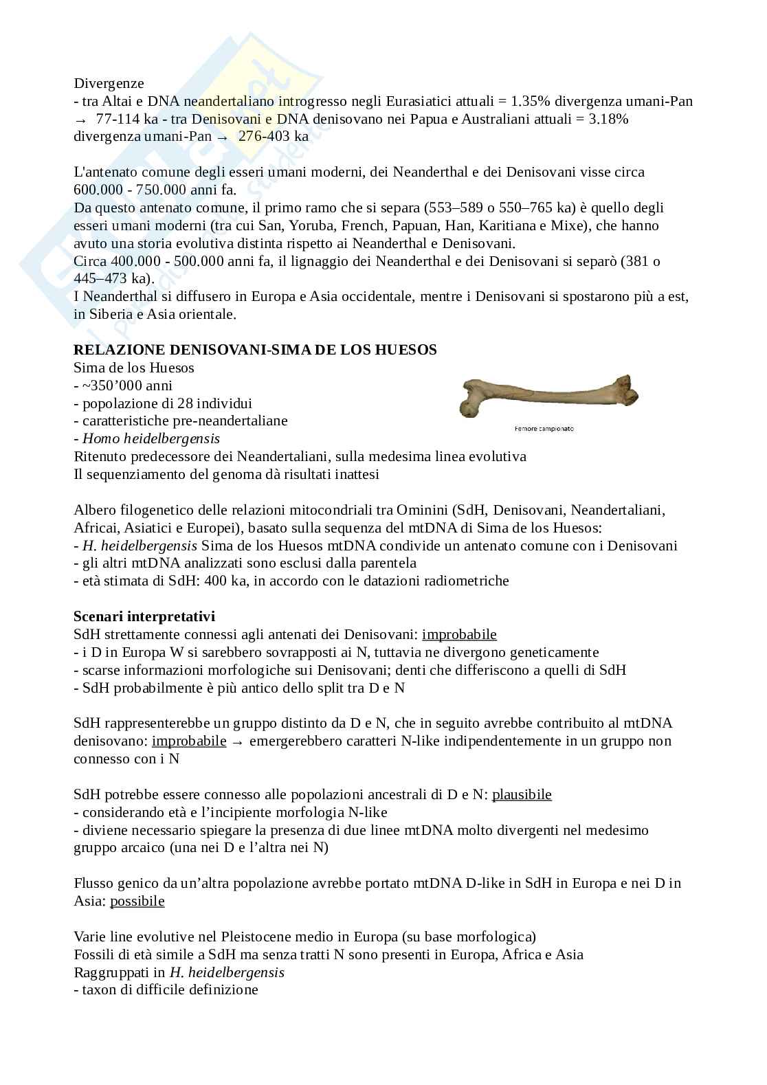 Appunti di Antropologia Pag. 81