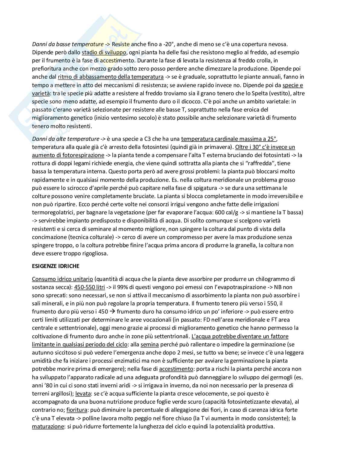 Sistemi colturali erbacei Pag. 26