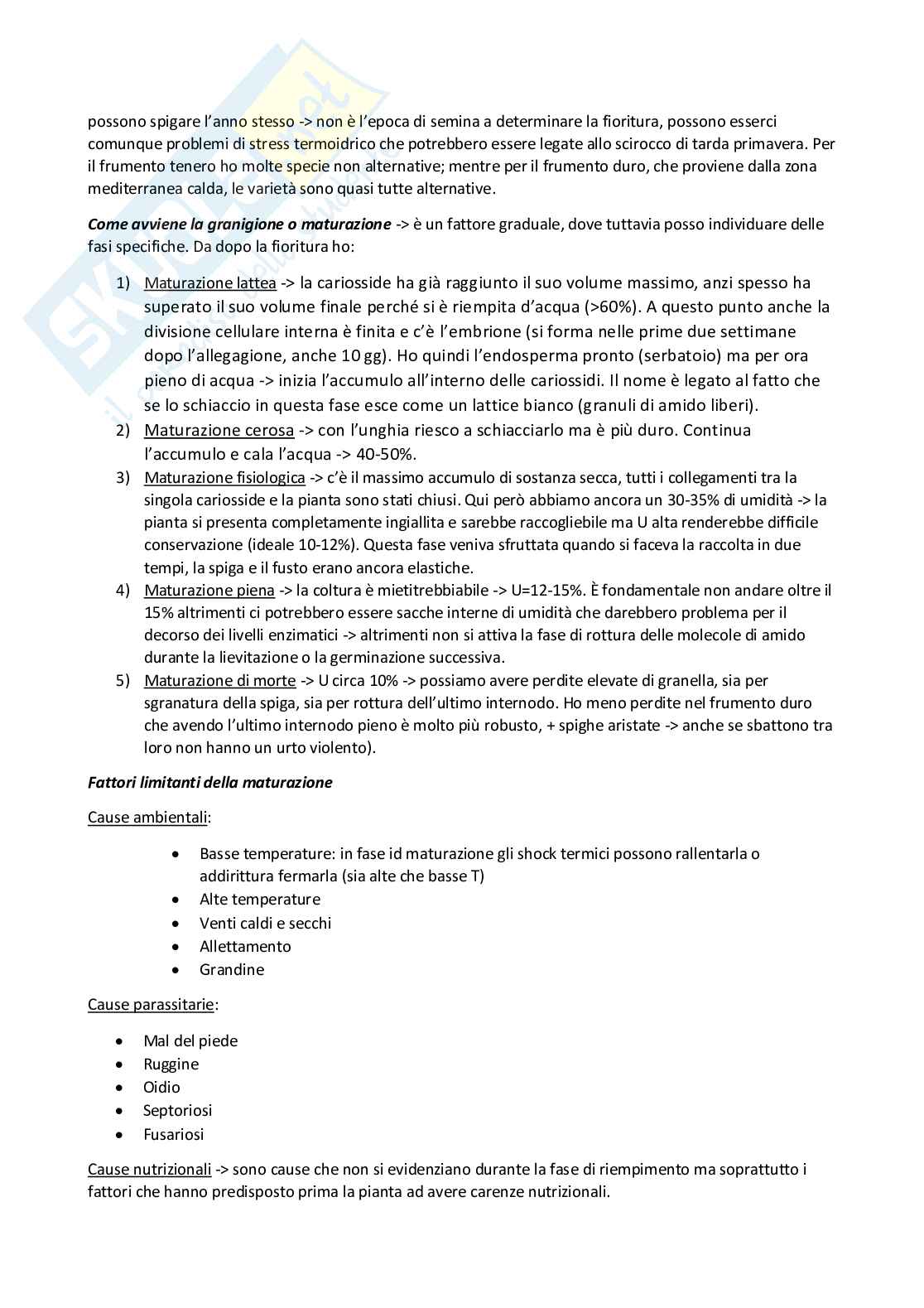 Sistemi colturali erbacei Pag. 41