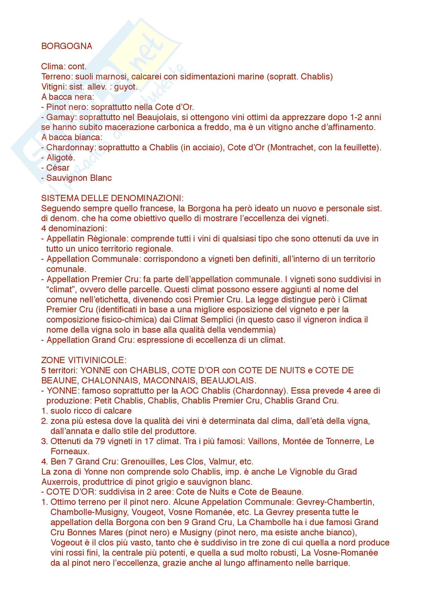 Borgona: Appunti di Enologia Pag. 1