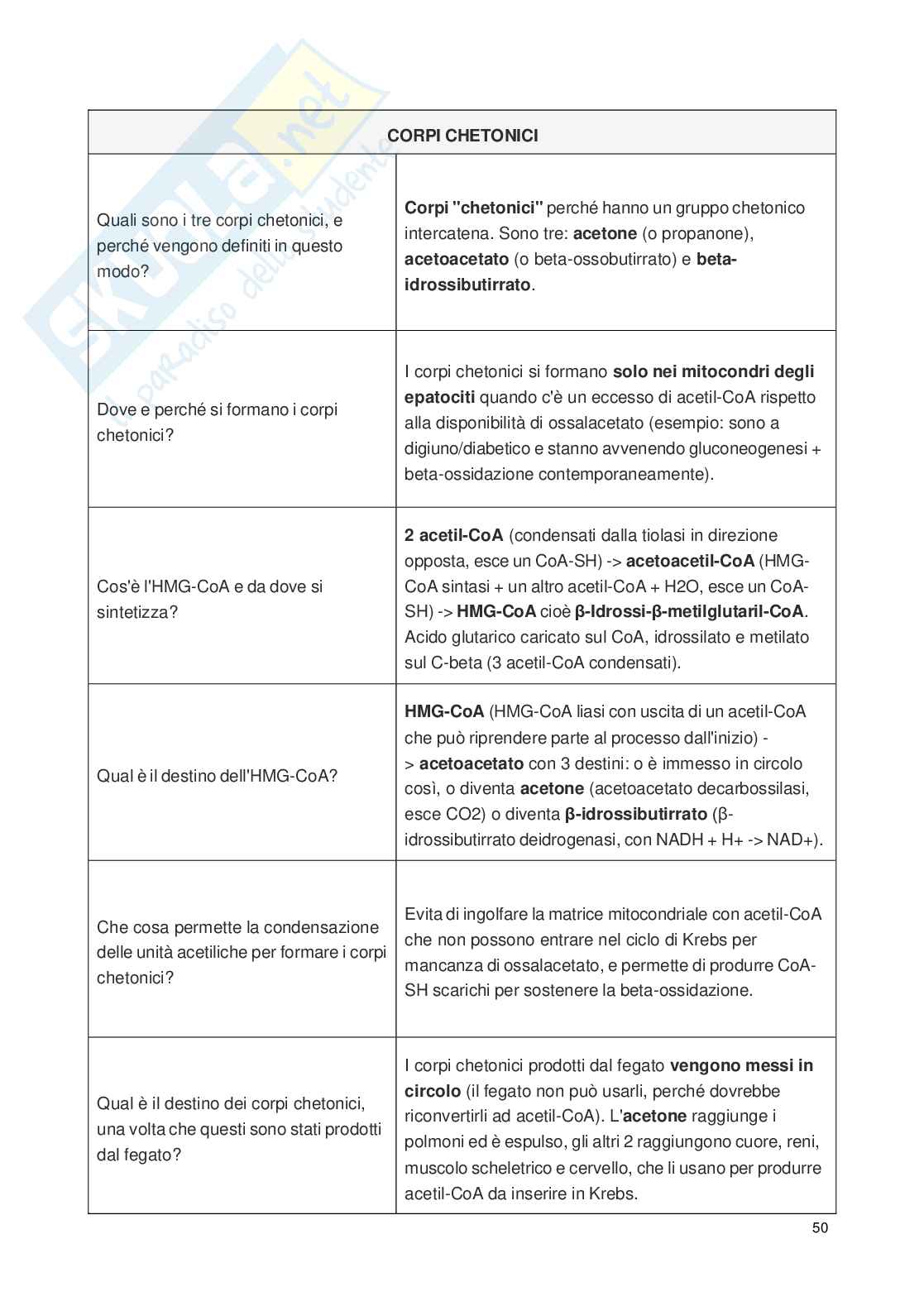 Flashcards di biochimica metabolica Pag. 51
