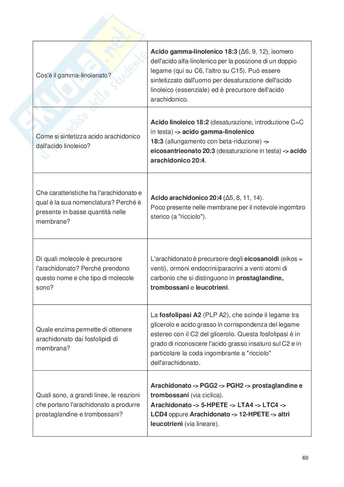 Flashcards di biochimica metabolica Pag. 61