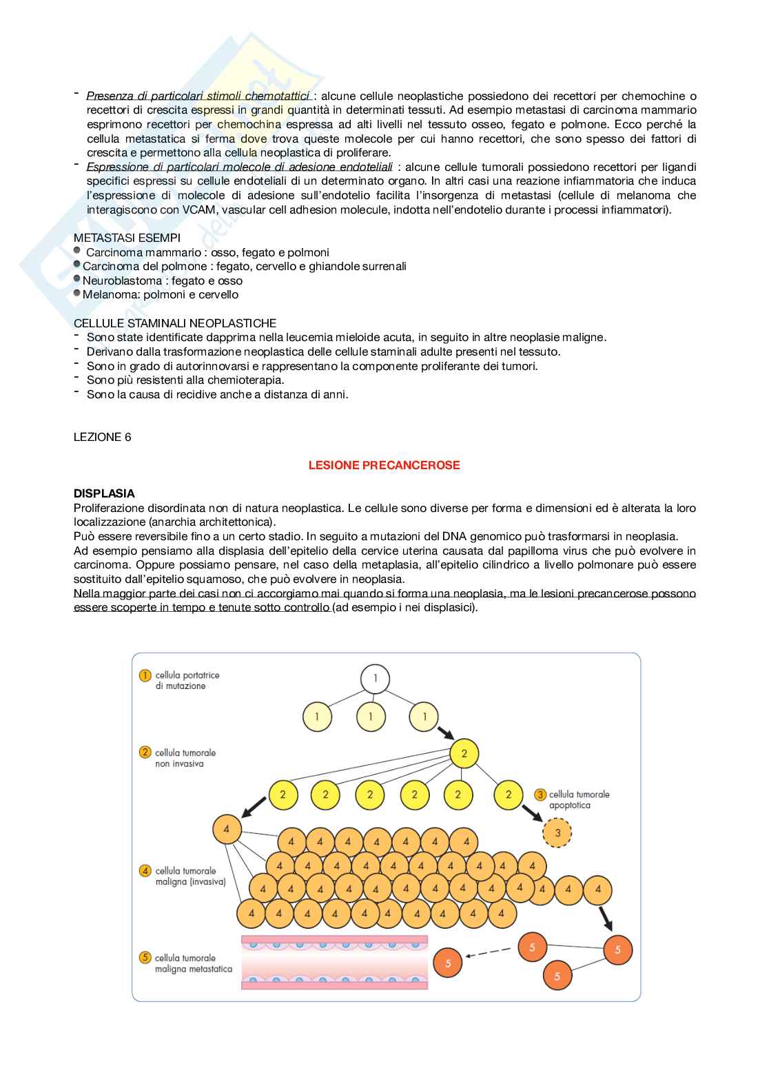 Patologia generale Pag. 16