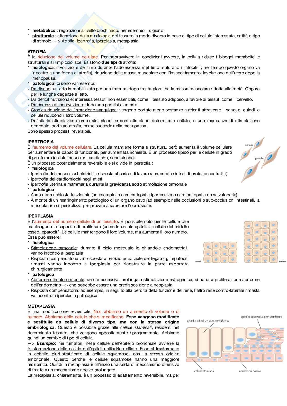 Patologia generale Pag. 2