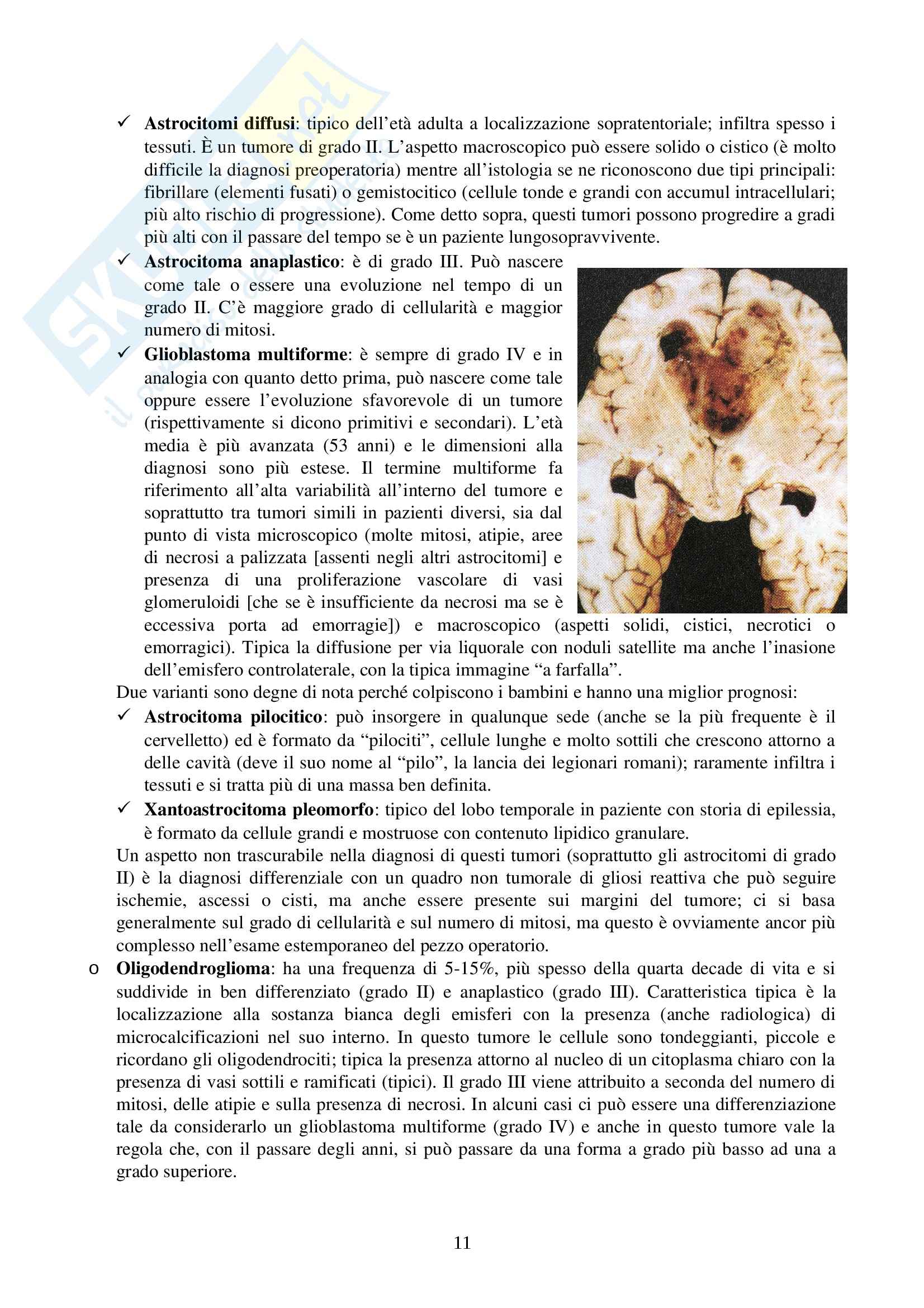 Neuropatologia - Appunti Pag. 11